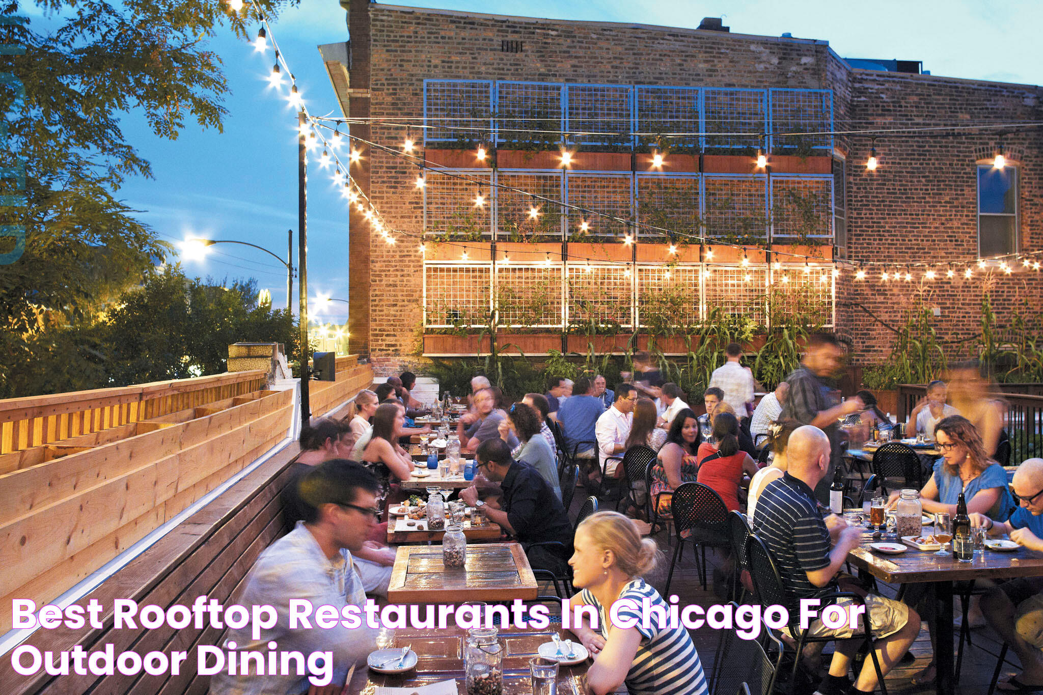 Best Family Friendly Rooftop Restaurants Chicago: A Delightful Dining Experience