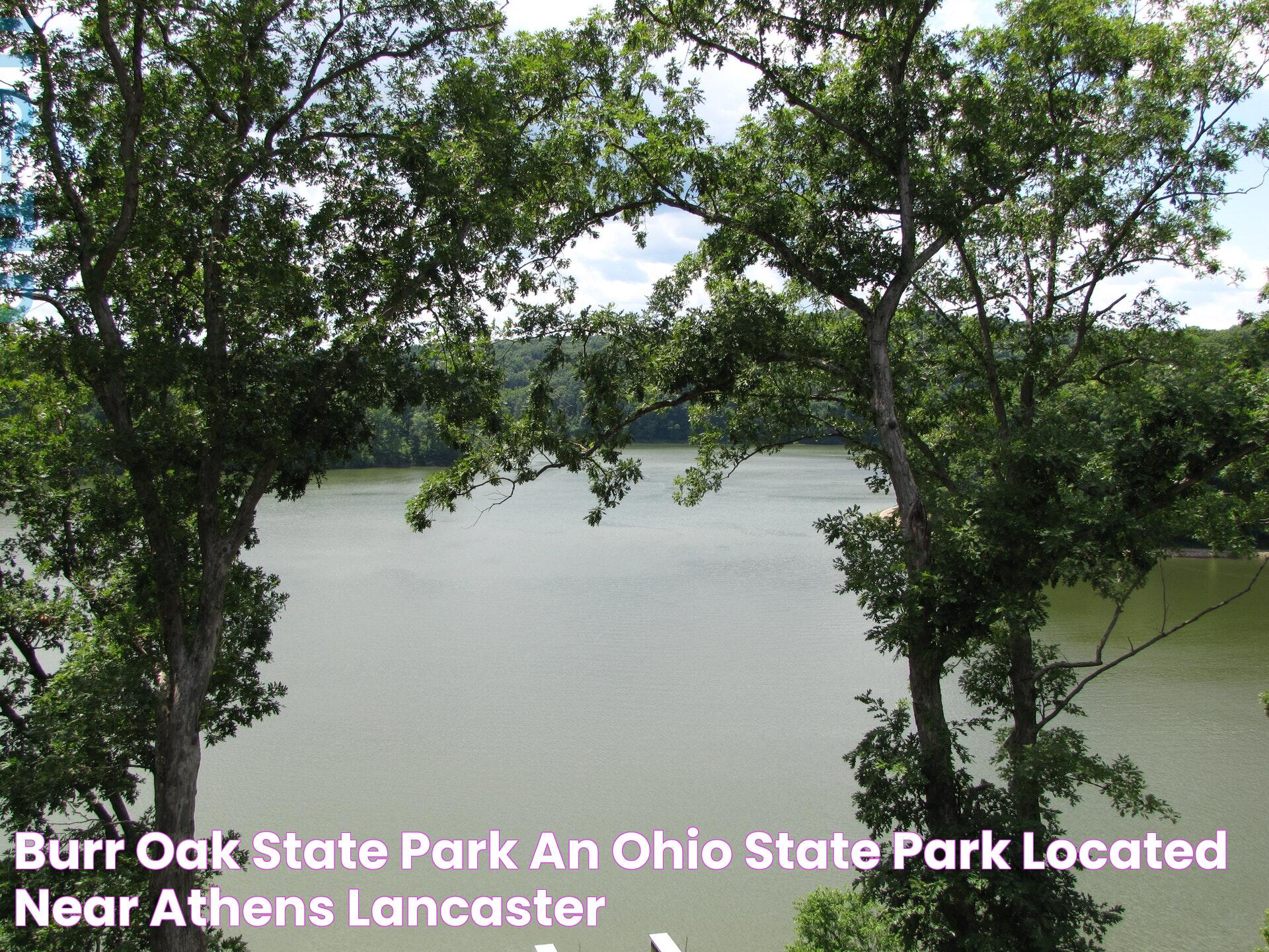 All You Need To Know About Oak State Park