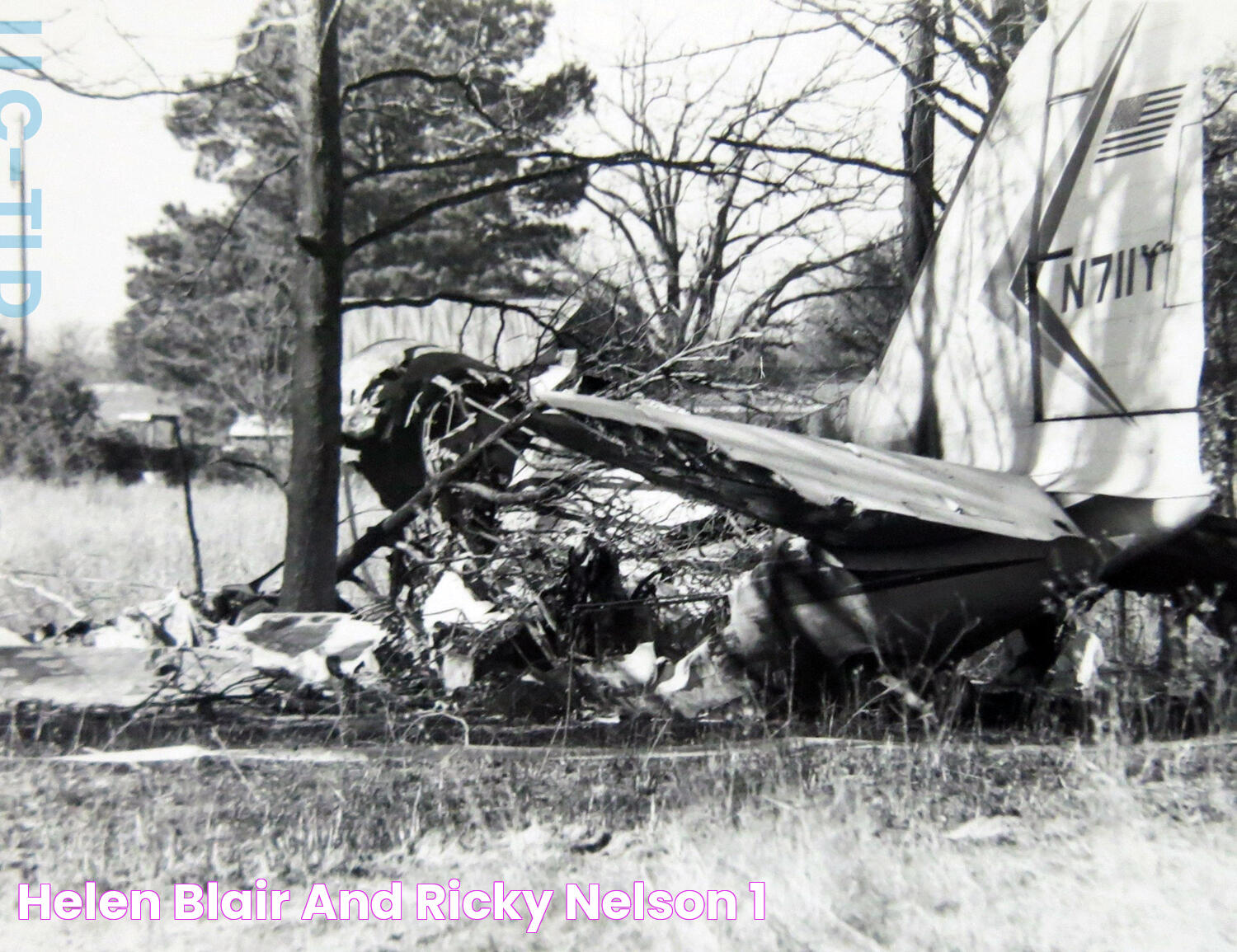 Ricky Nelson And Helen Blair: A Tale Of Fame And Tragedy