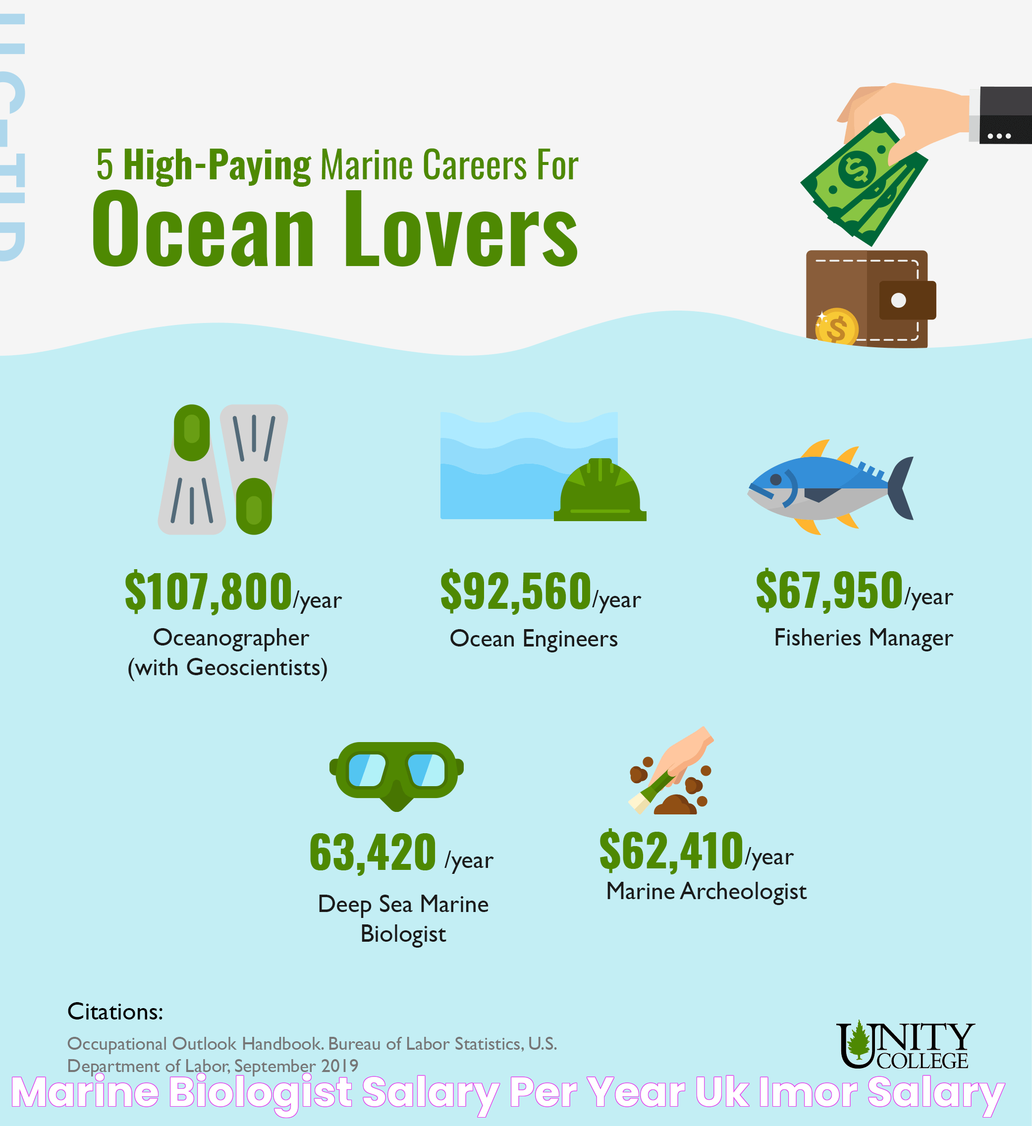 The Rewards Of Being A Marine Biologist In Hawaii: Salary, Opportunities, And Lifestyle