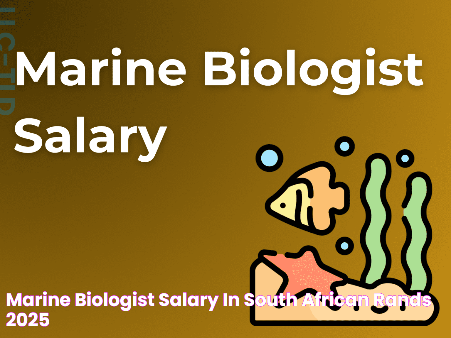 Marine Biologist Salary In Hawaii: A Lucrative Career Path