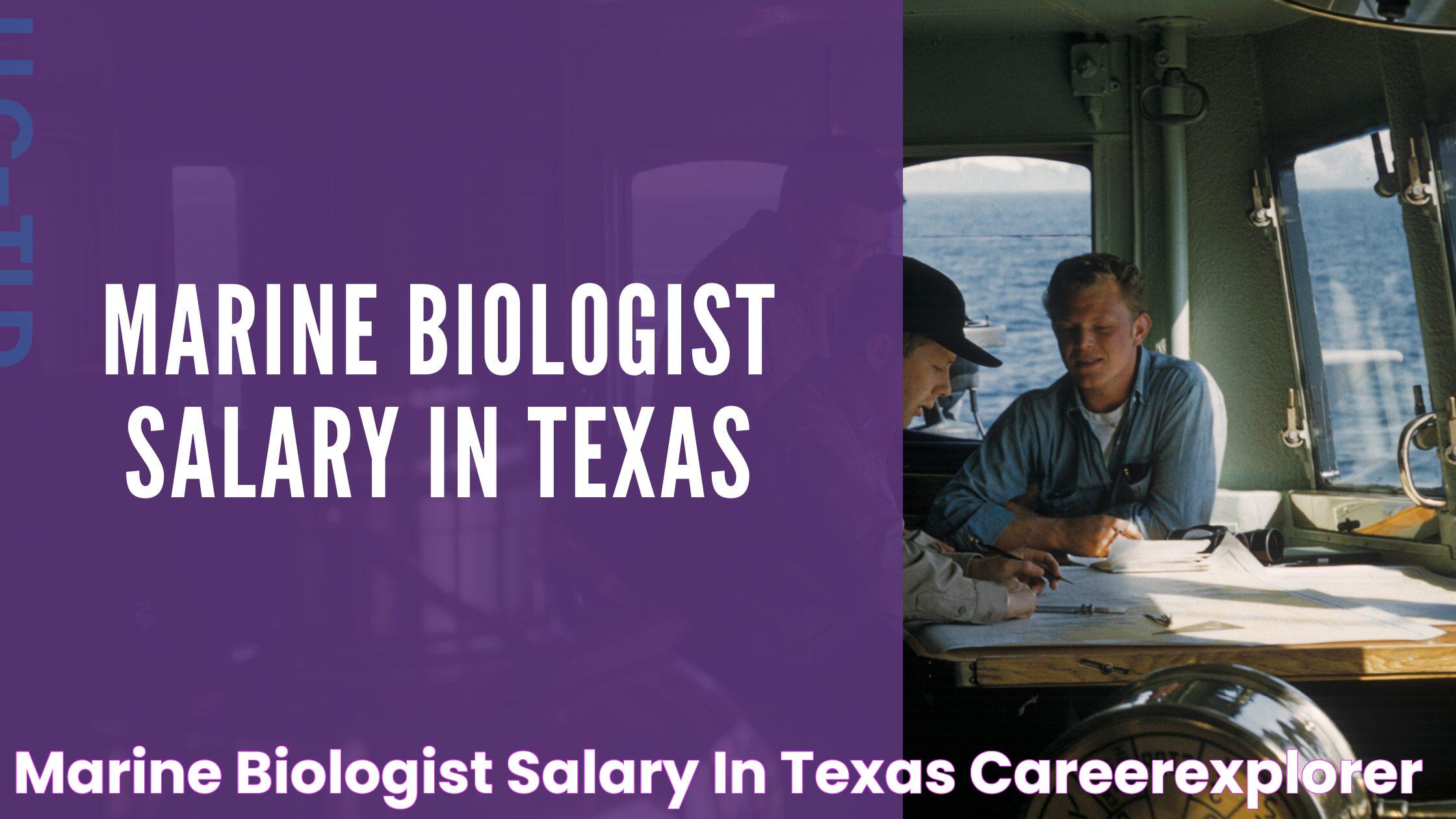 Marine Biologist Salary in Texas CareerExplorer