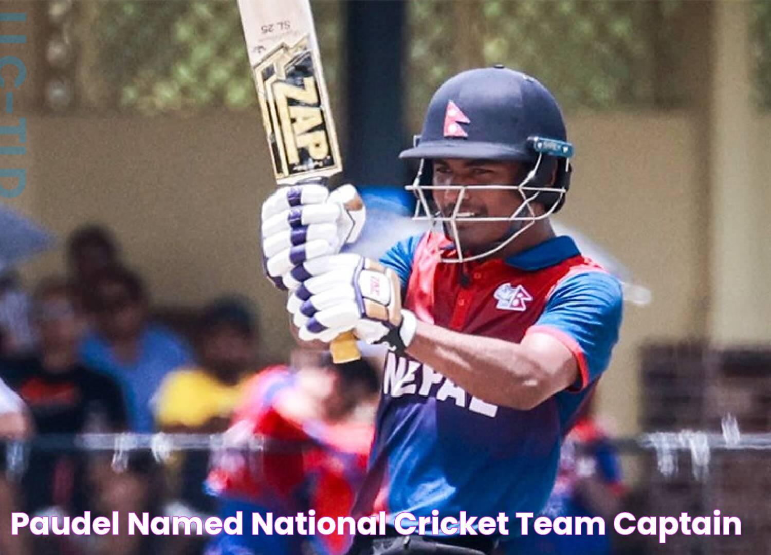 Paudel named national cricket team captain