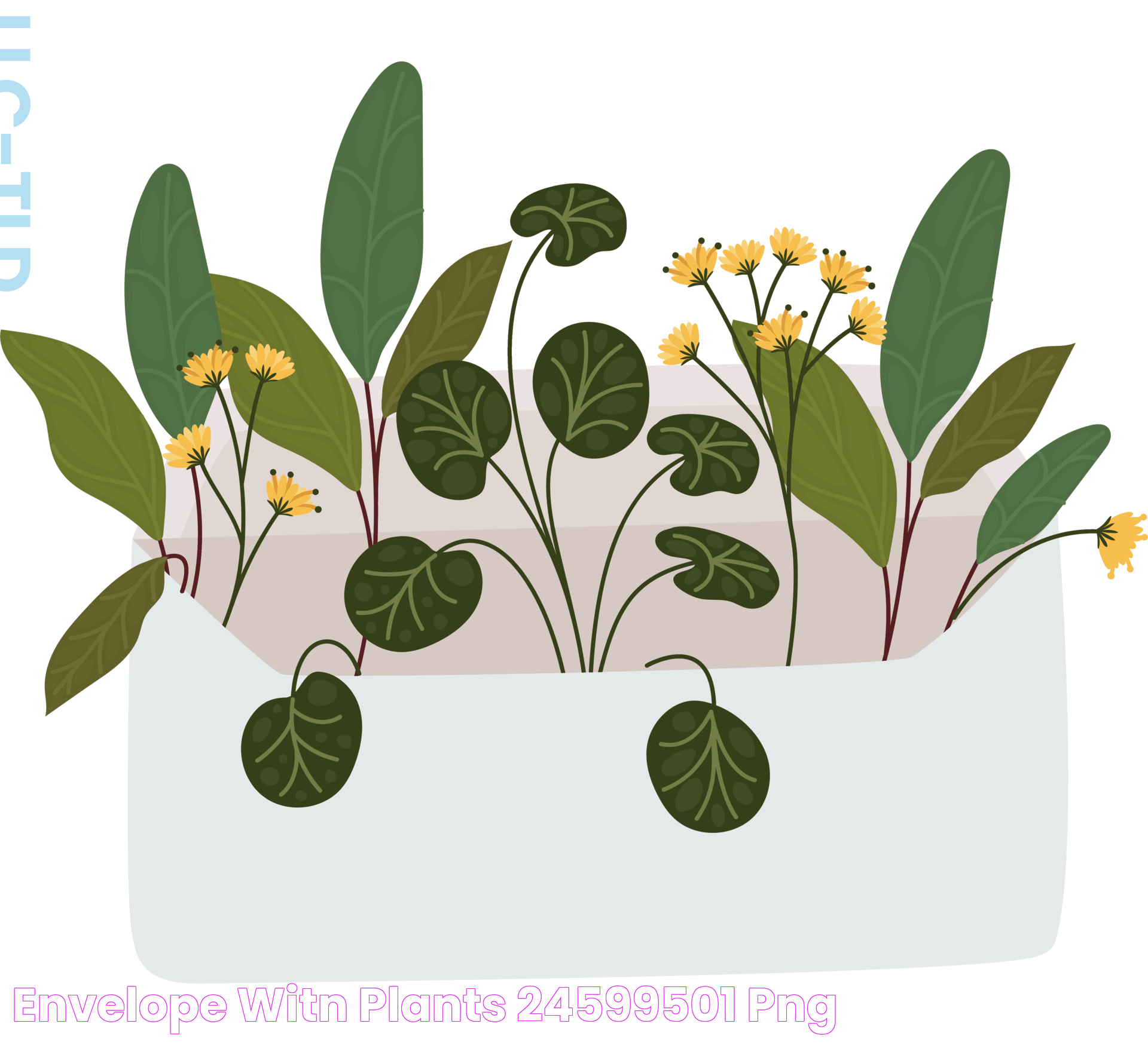 envelope witn plants 24599501 PNG