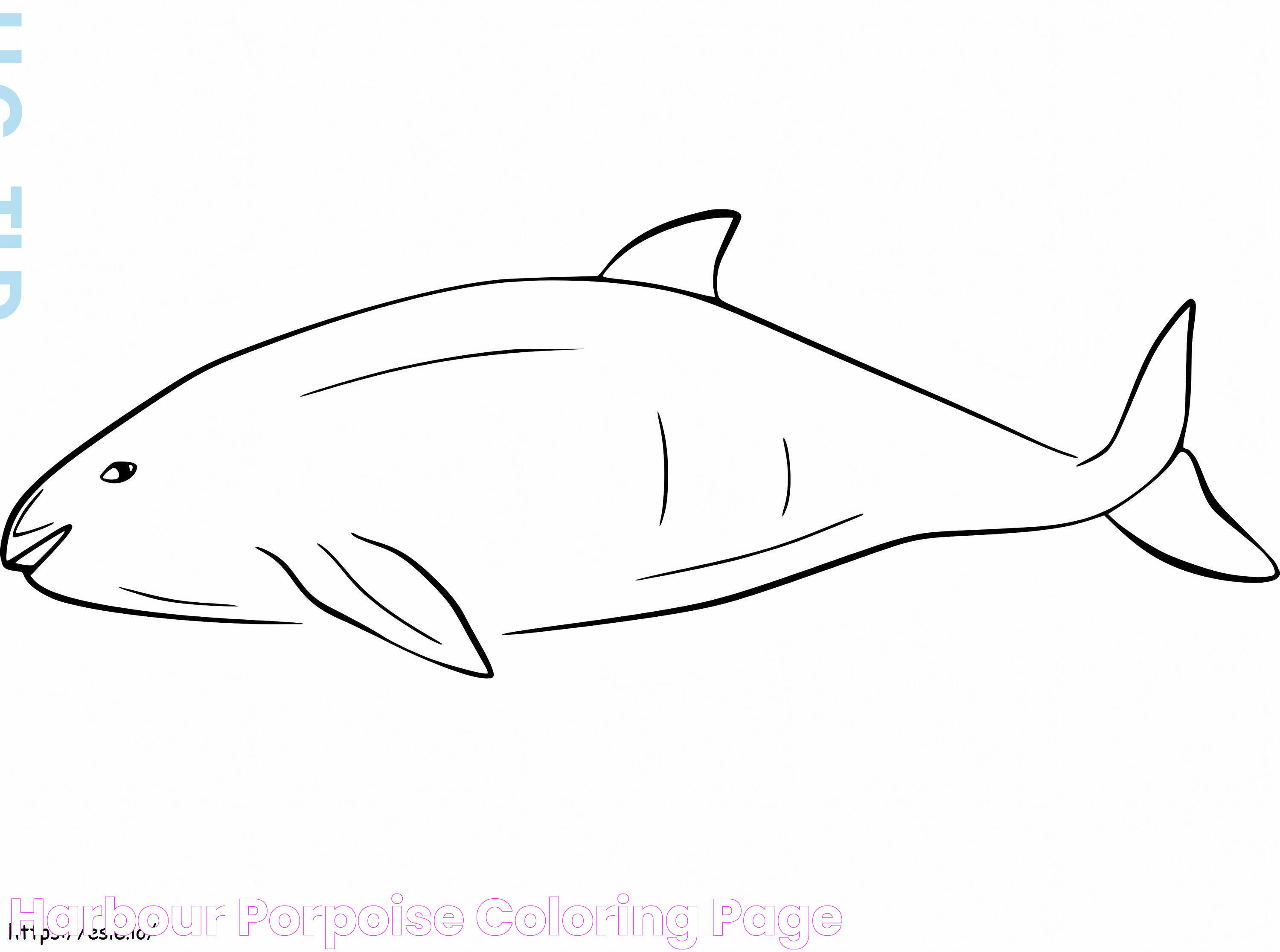 Harbour Porpoise coloring page