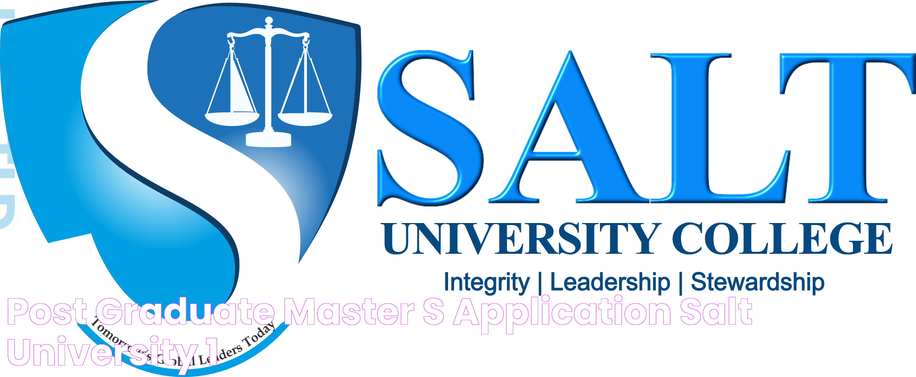 Post Graduate MASTER’S APPLICATION Salt University