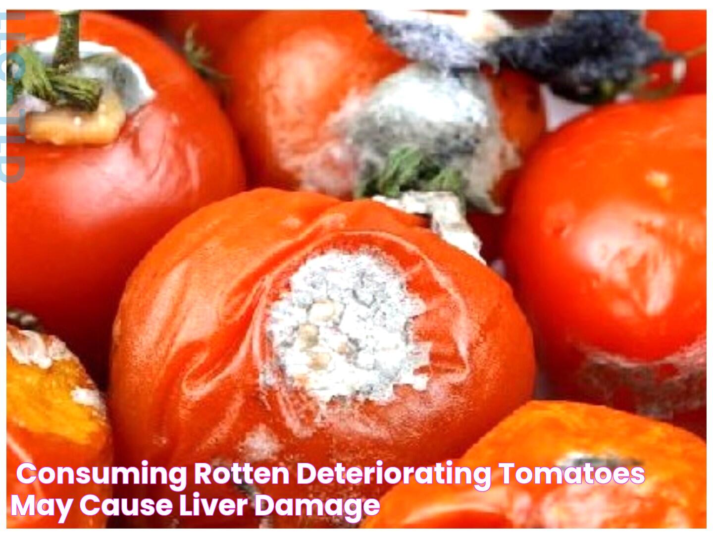 'Consuming rotten, deteriorating tomatoes may cause liver damage