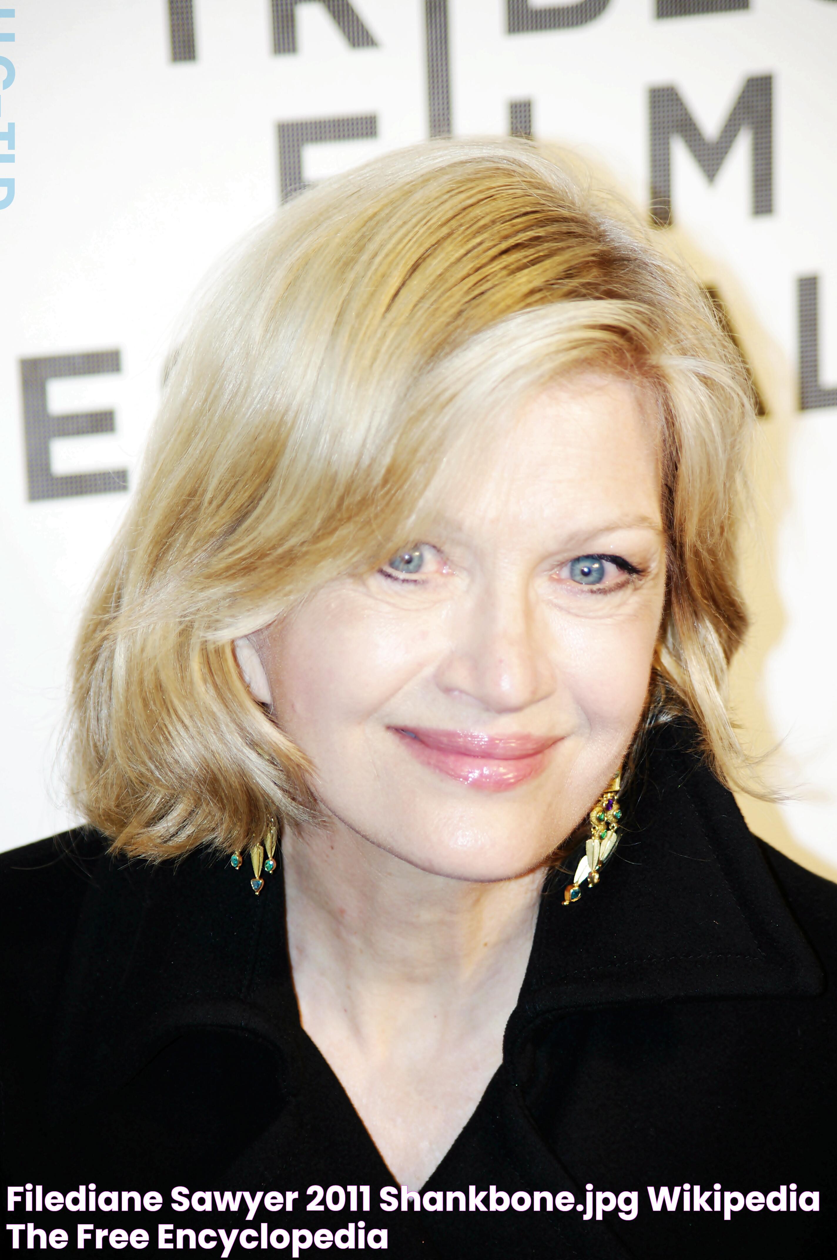 FileDiane Sawyer 2011 Shankbone.JPG Wikipedia, the free encyclopedia