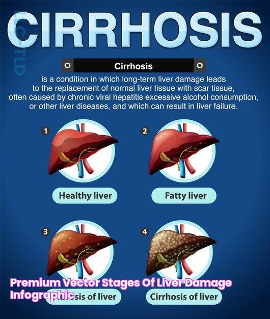 Investigating The Impact Of Celsius: Understanding Liver Damage Risks