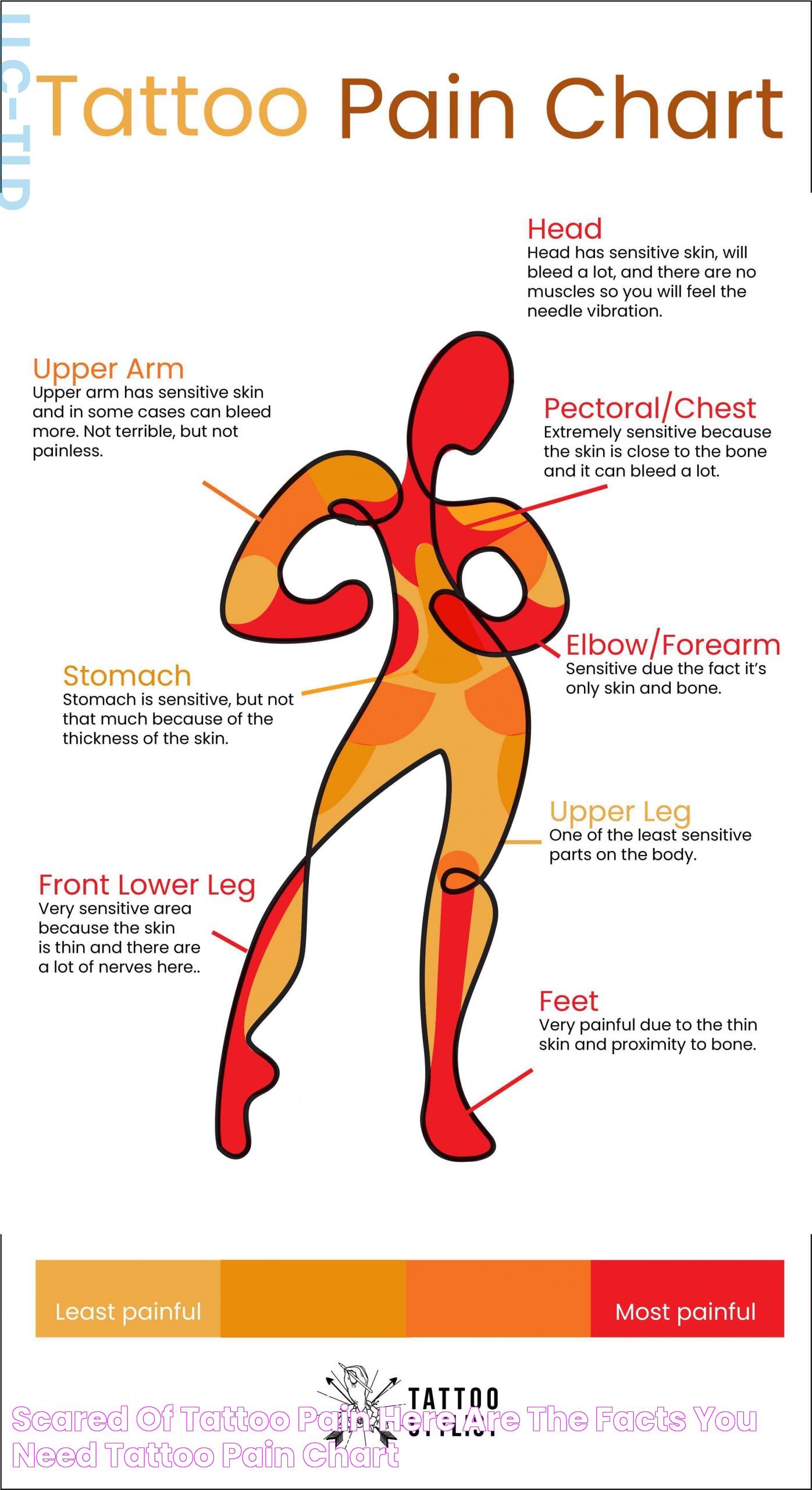 Ear Tattoo Pain Chart: A Comprehensive Guide To Understanding Pain Levels