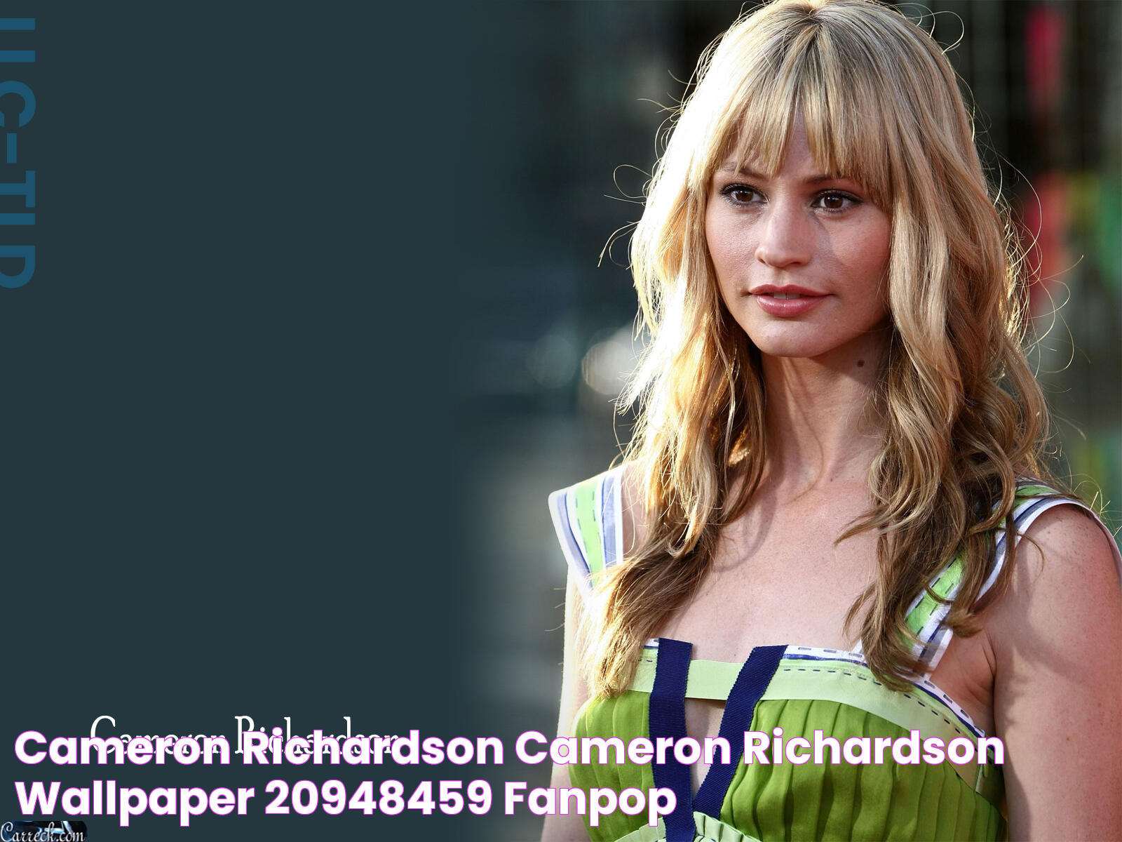 Cameron Richardson Cameron Richardson Wallpaper (20948459) Fanpop