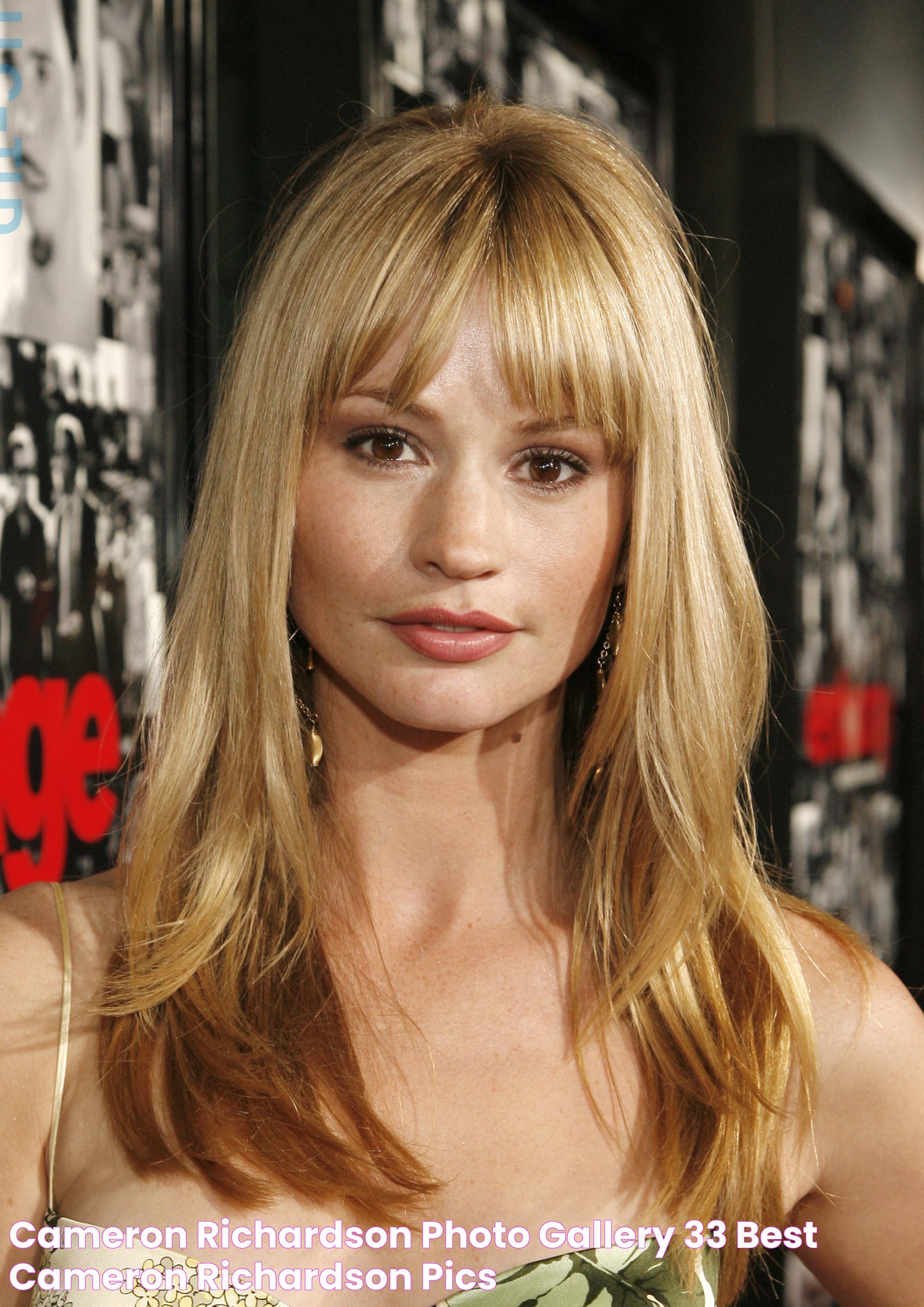 Cameron Richardson Filmography: A Cinematic Odyssey