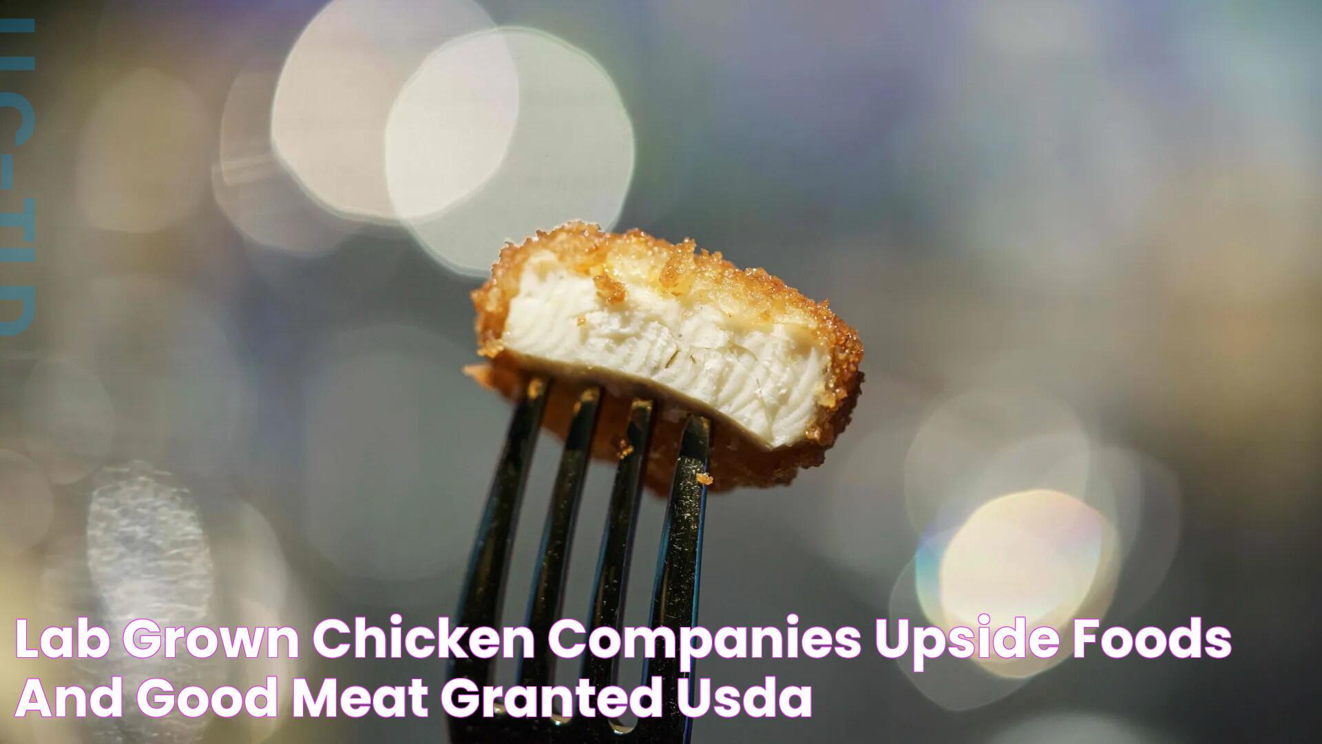 Lab grown chicken Companies Upside Foods and Good Meat granted USDA