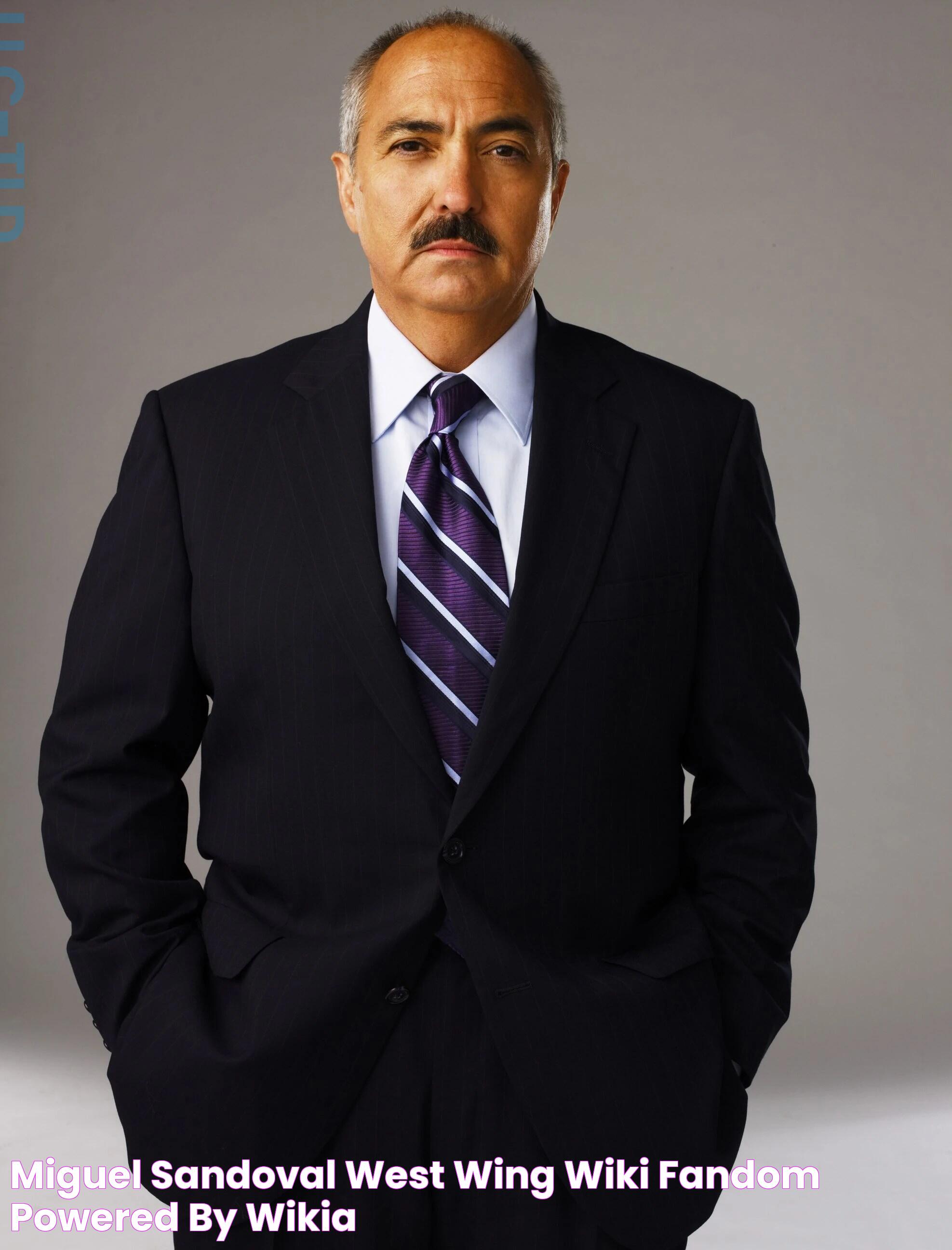 Miguel Sandoval West Wing Wiki Fandom powered by Wikia