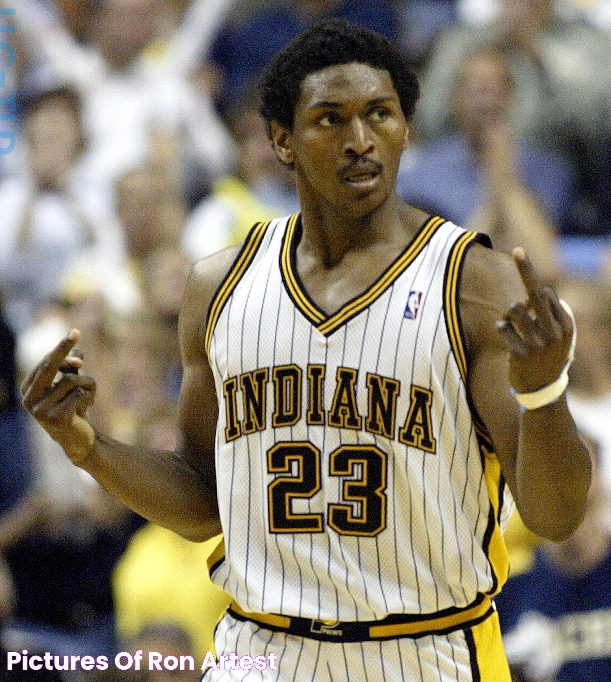 An In-Depth Look At Ron Artest Jr's Life And Achievements