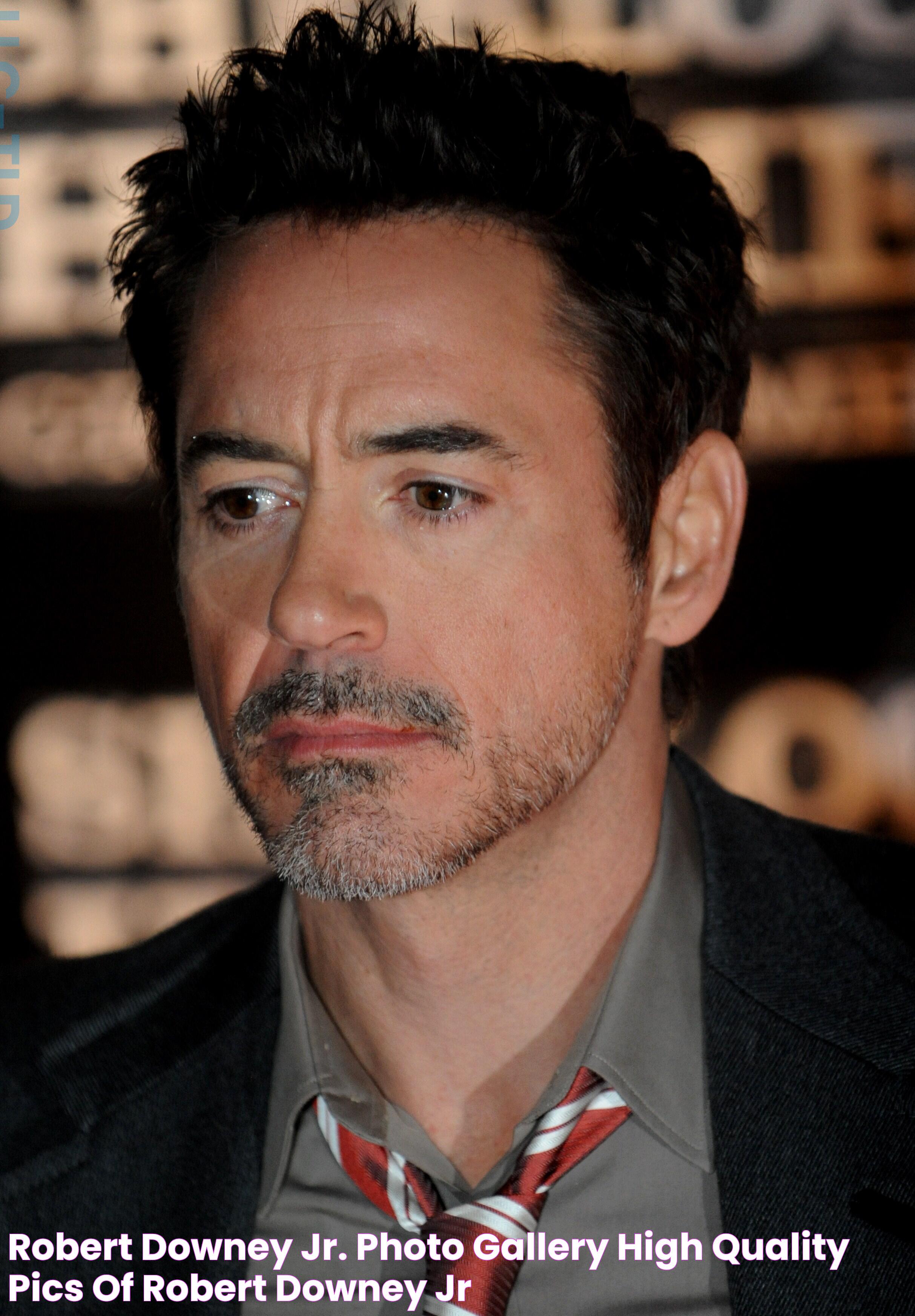 Robert Downey Jr. photo gallery high quality pics of Robert Downey Jr