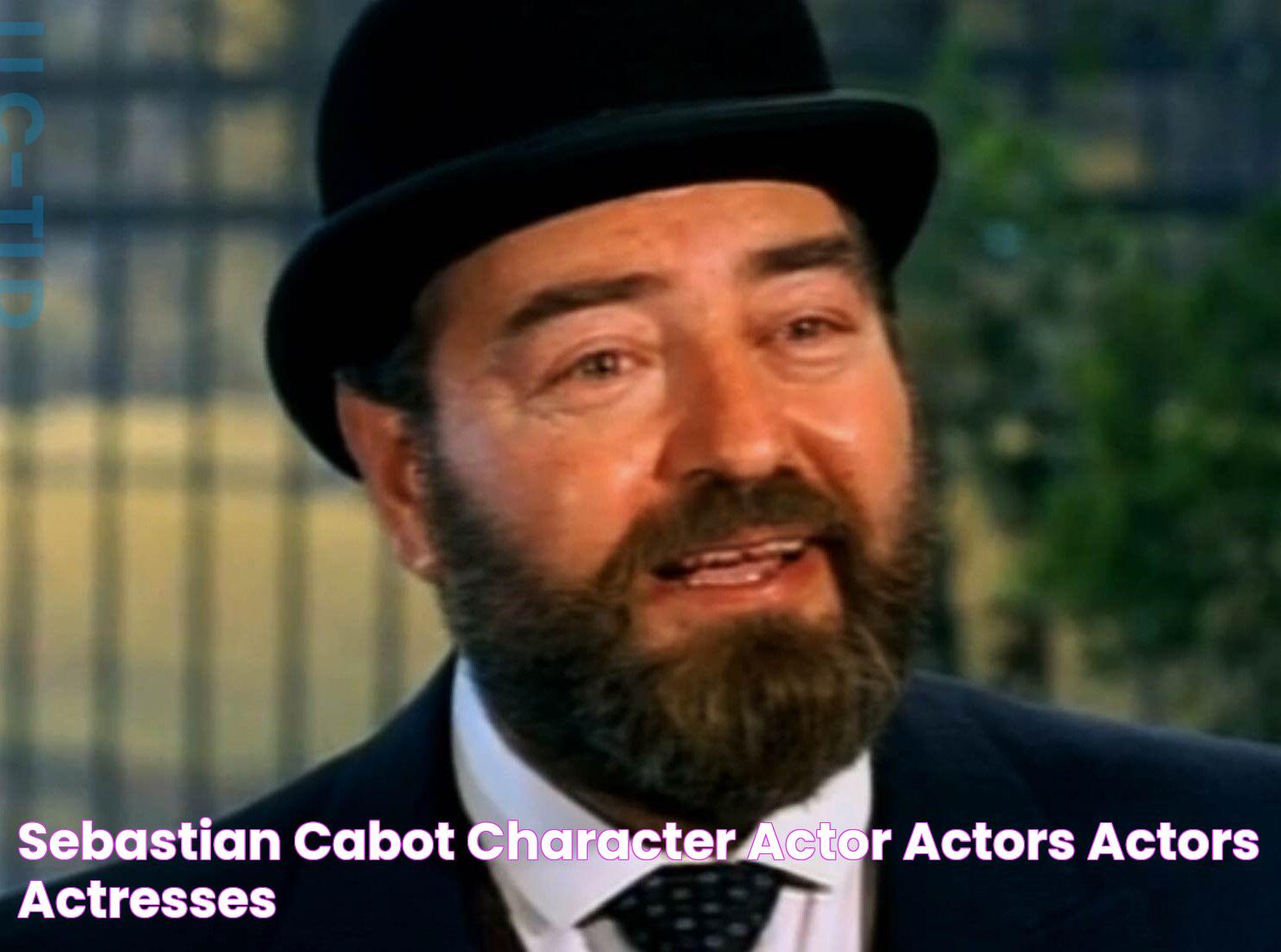 Insights Into Sebastian Cabot And TV Shows: A Detailed Guide