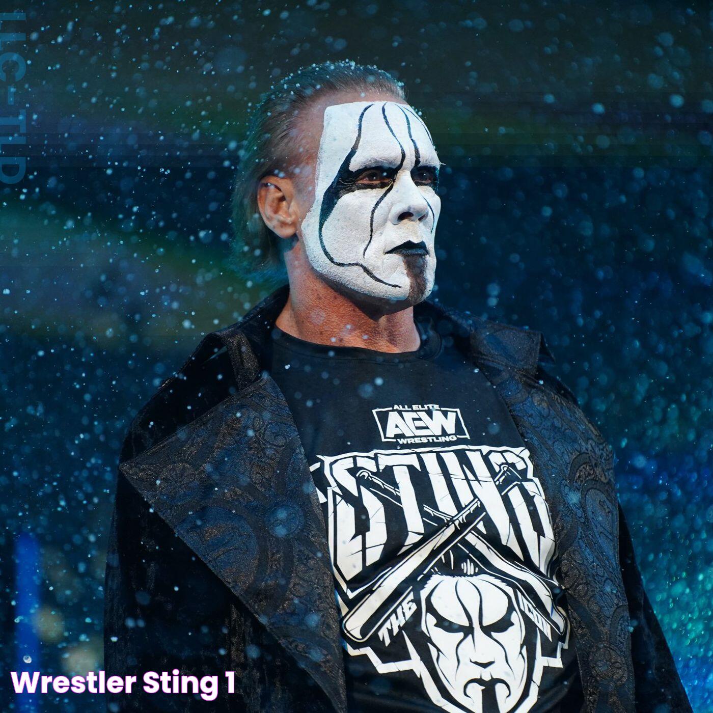 Sting Wrestler Age: A Legendary Career And Life Insights