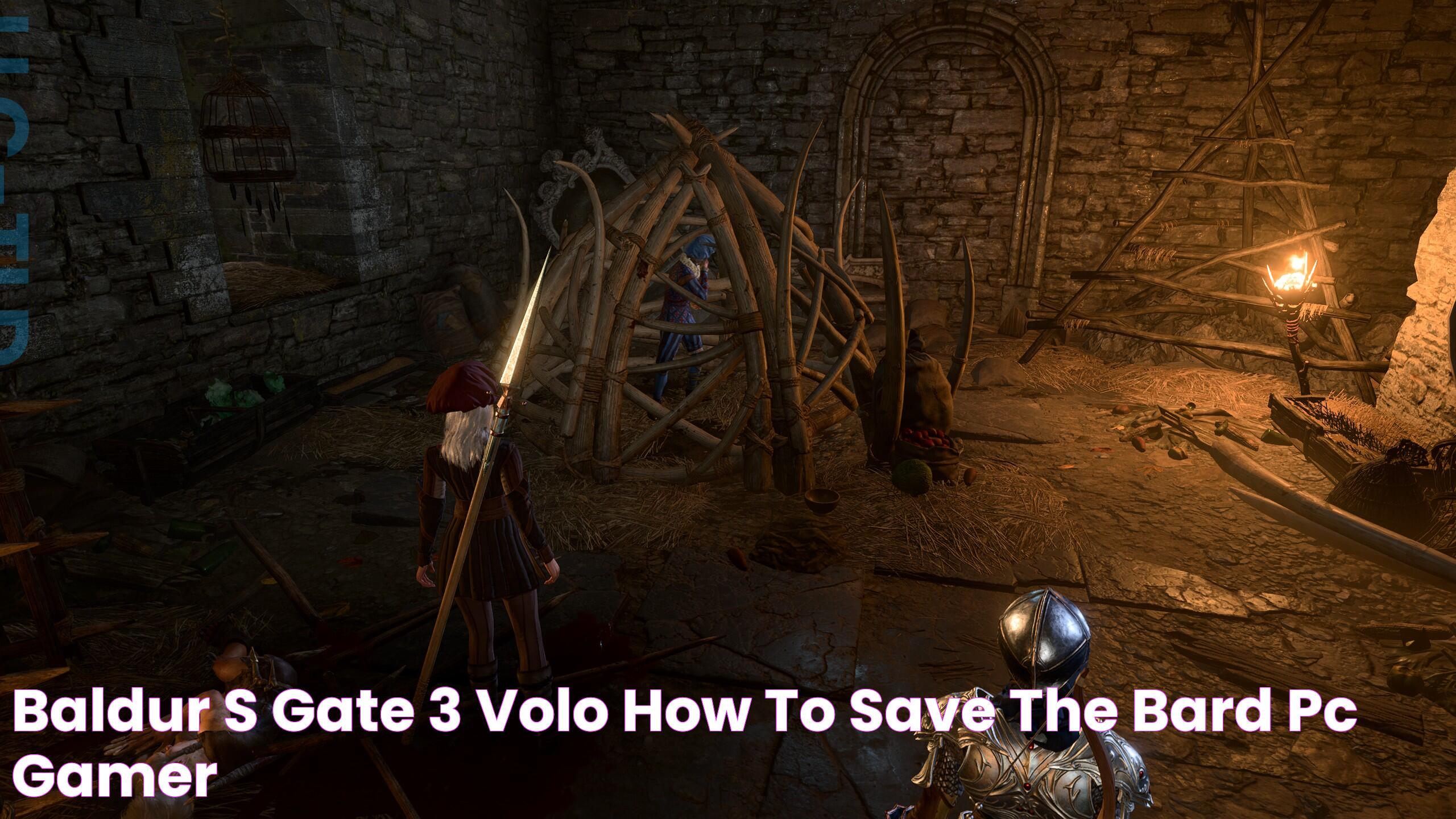 Baldur's Gate 3 Volo How to save the bard PC Gamer