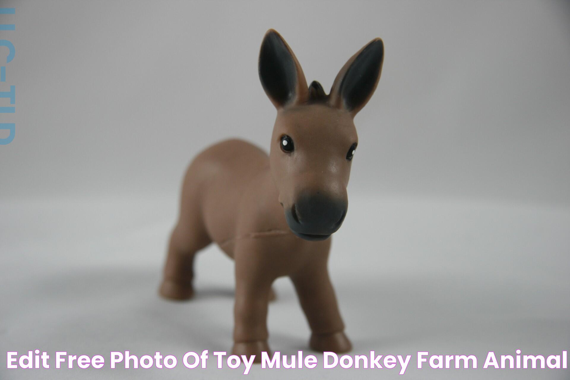 Edit free photo of Toy,mule,donkey,farm,animal