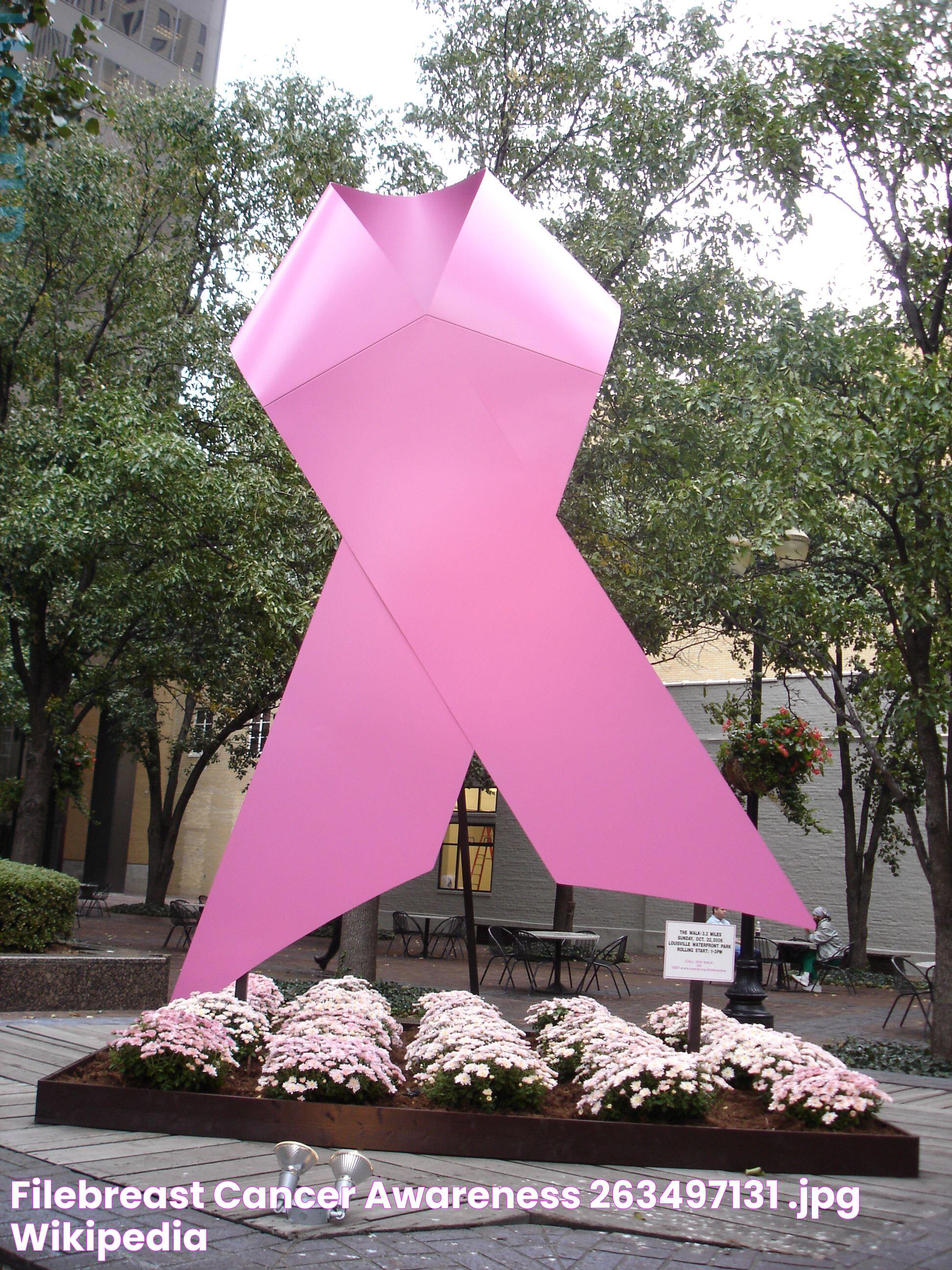 FileBreast Cancer Awareness (263497131).jpg Wikipedia