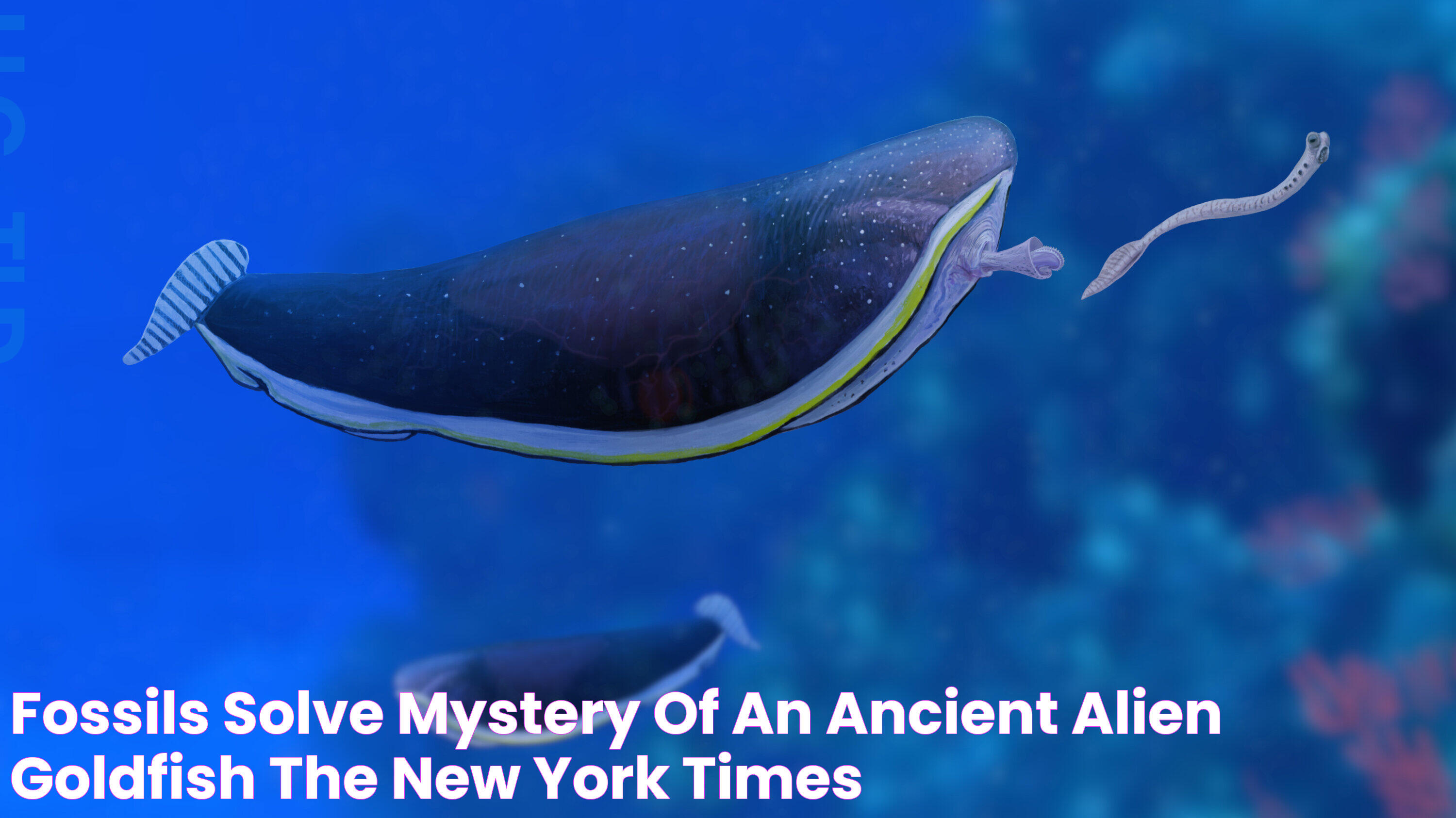 The Mysteries Of UFOs Beneath The Waves: Unveiling Underwater Phenomena