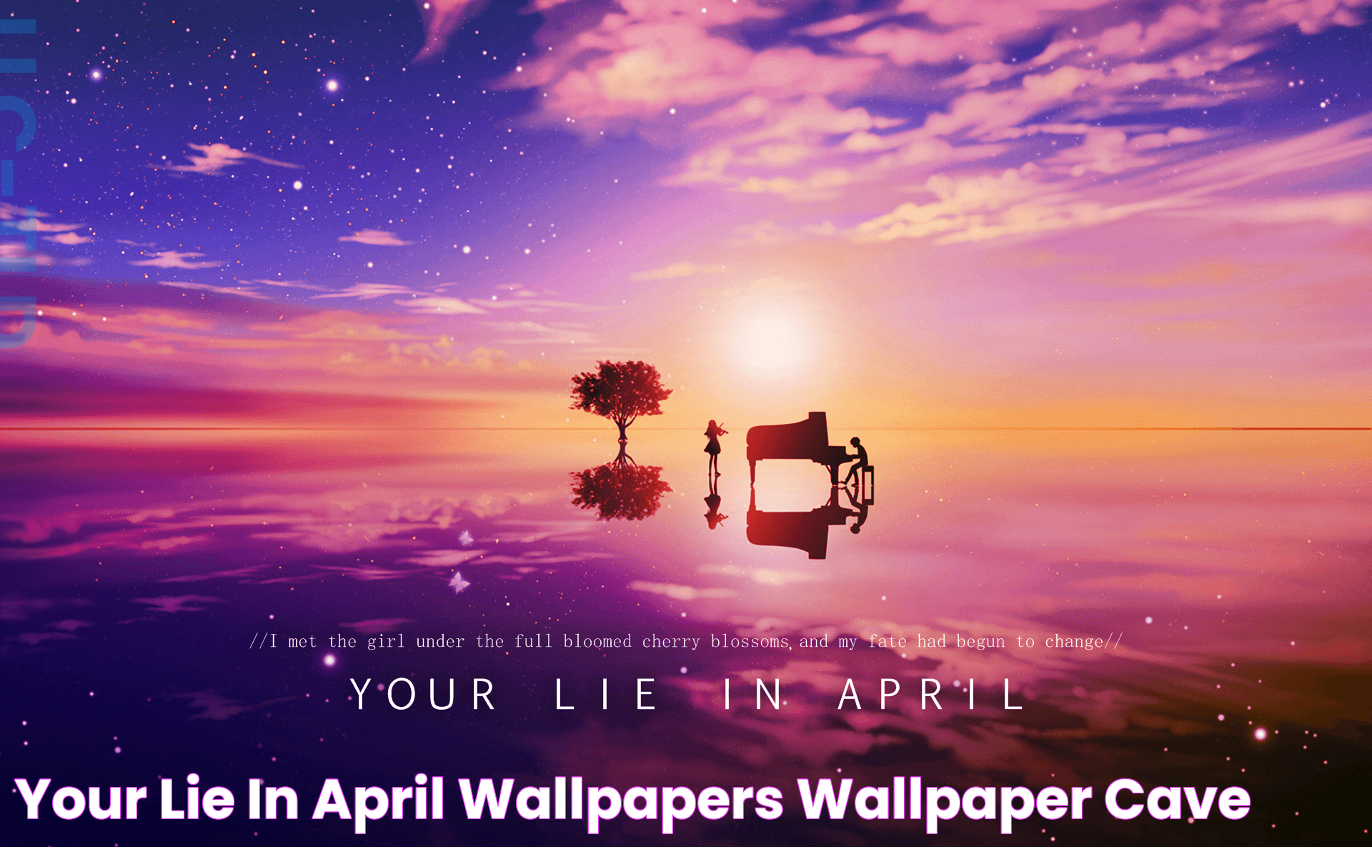 Your Lie In April Wallpapers Wallpaper Cave