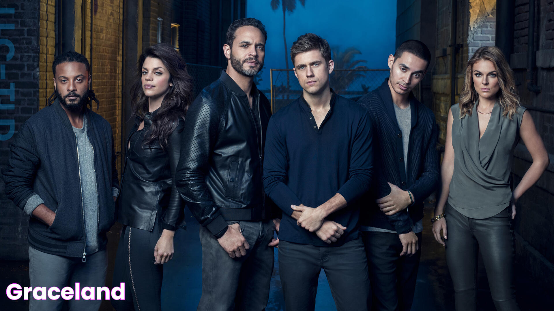 Graceland TV Series: A Riveting Drama Worth Watching