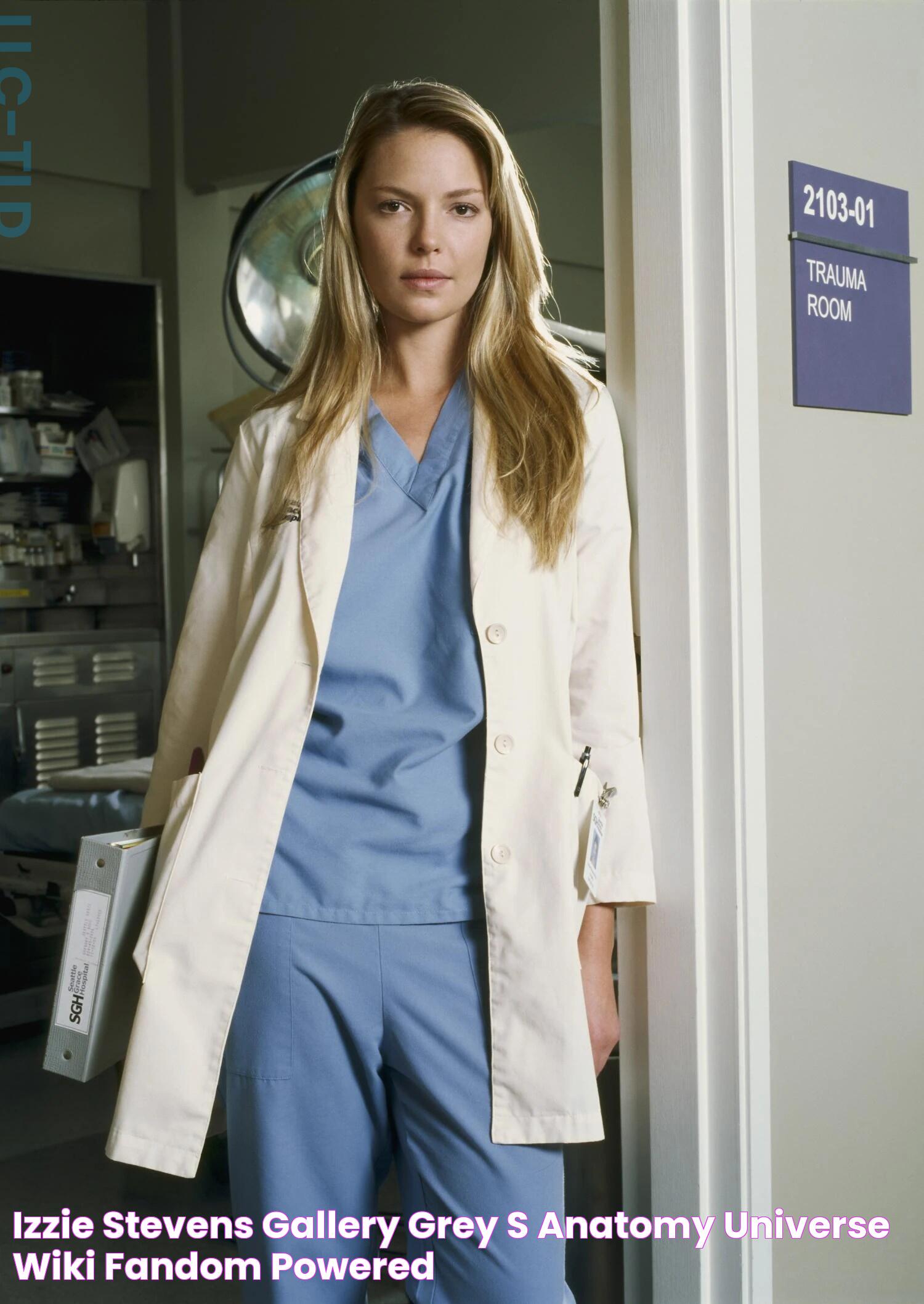 A Deep Dive Into Grey's Anatomy Izzie: The Character, Impact, And Legacy