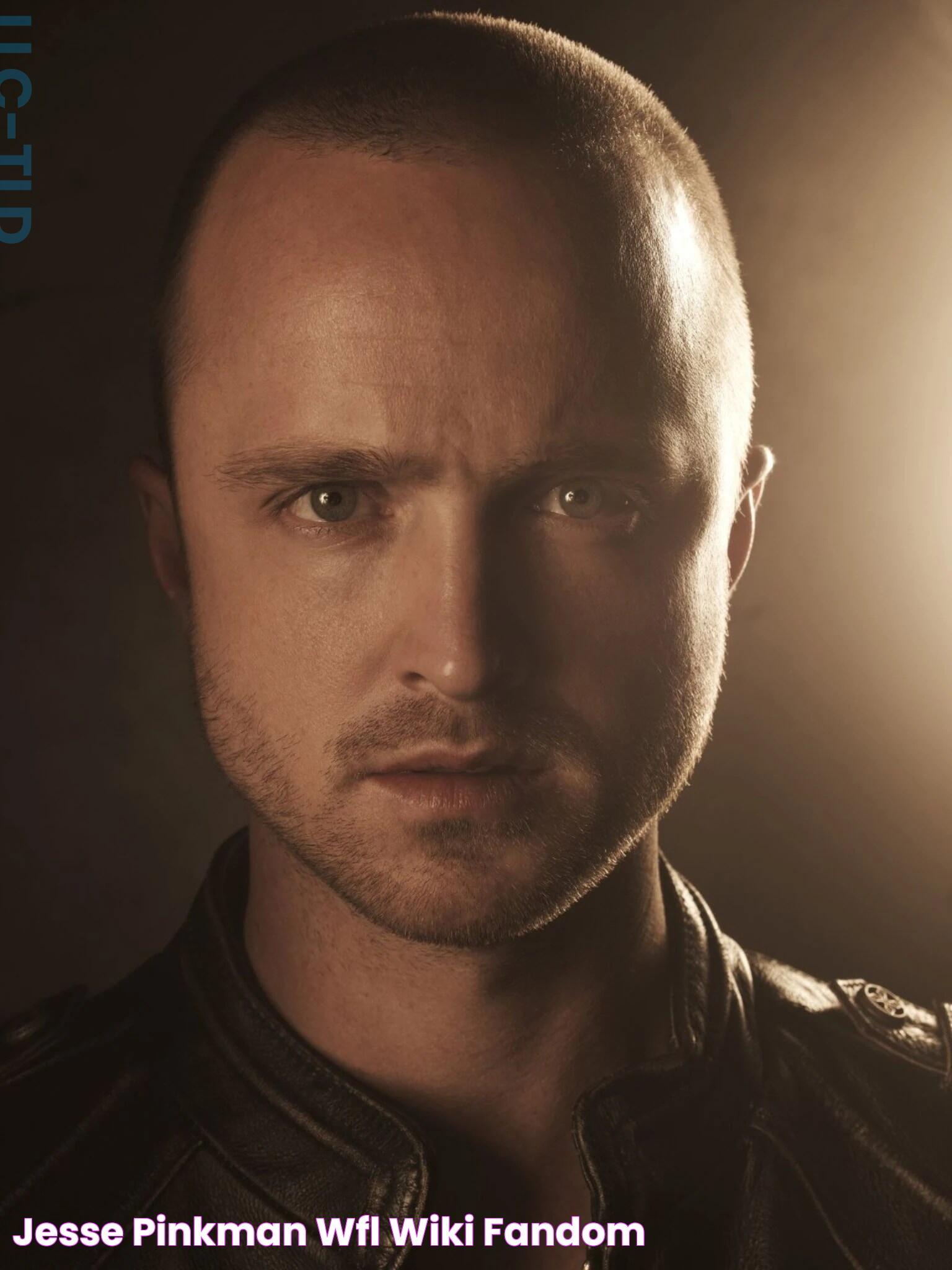 Jesse Pinkman WFL Wiki Fandom