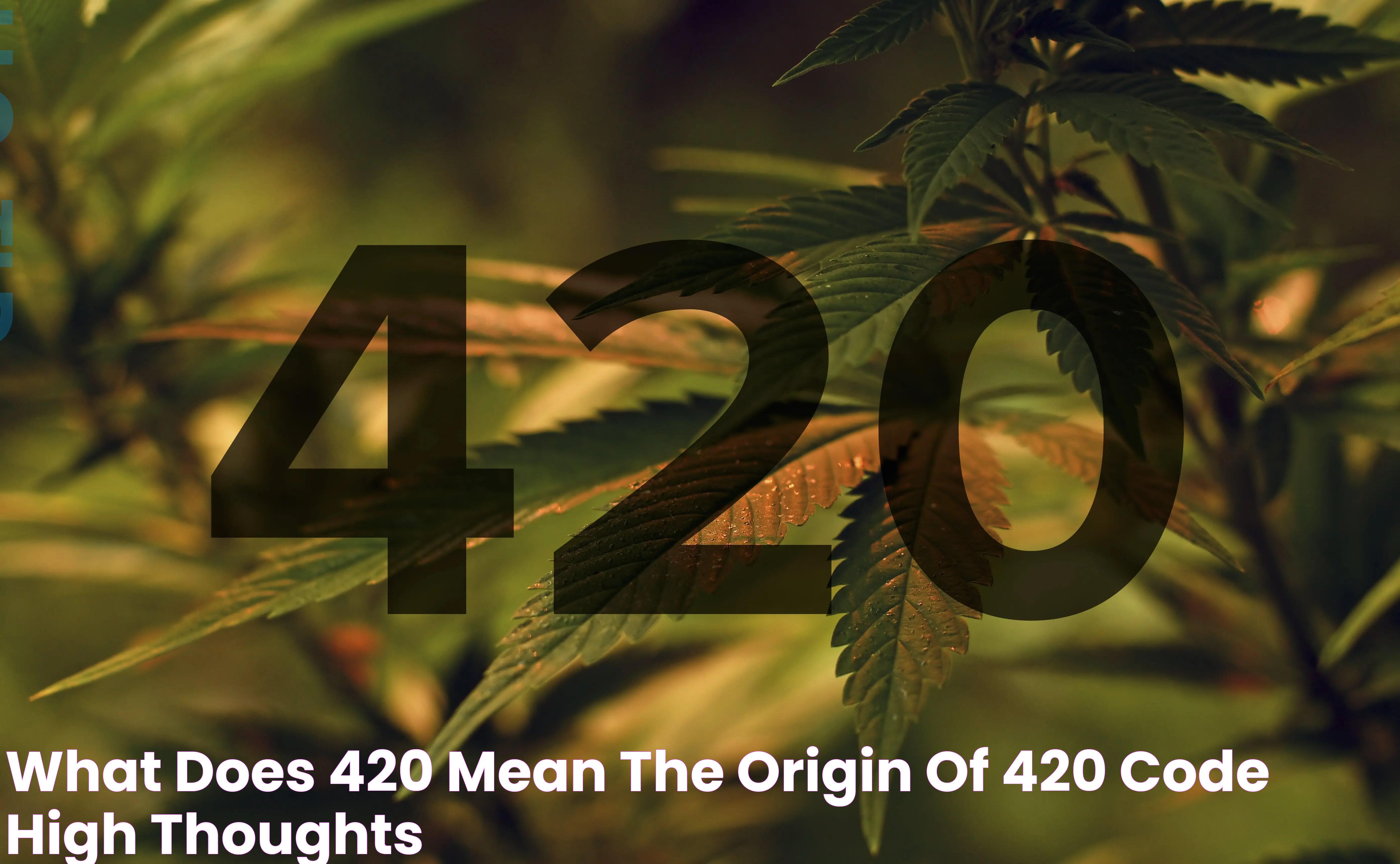 Defining The Significance Of "What Does 420 Mean?"