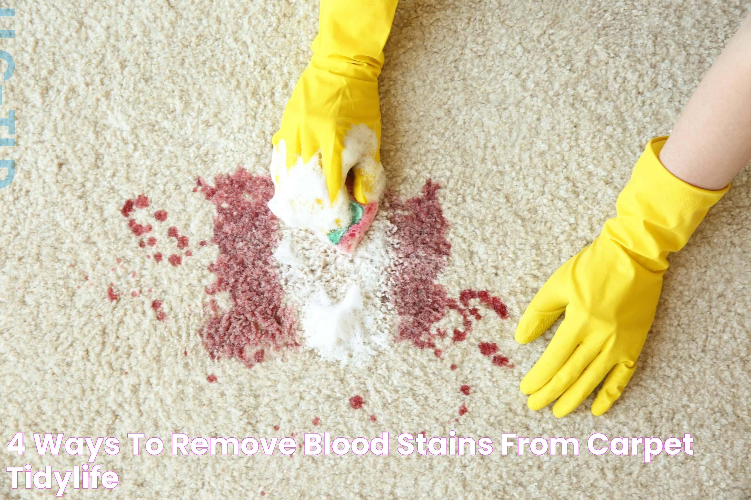 Ultimate Guide To The Best Carpet Cleaner For Blood Stains: Solutions And Tips