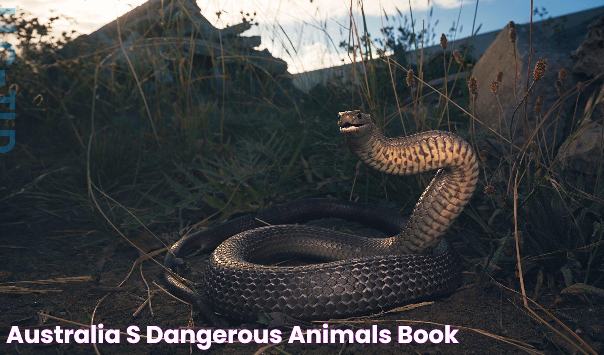 Australia's Dangerous Animals Book