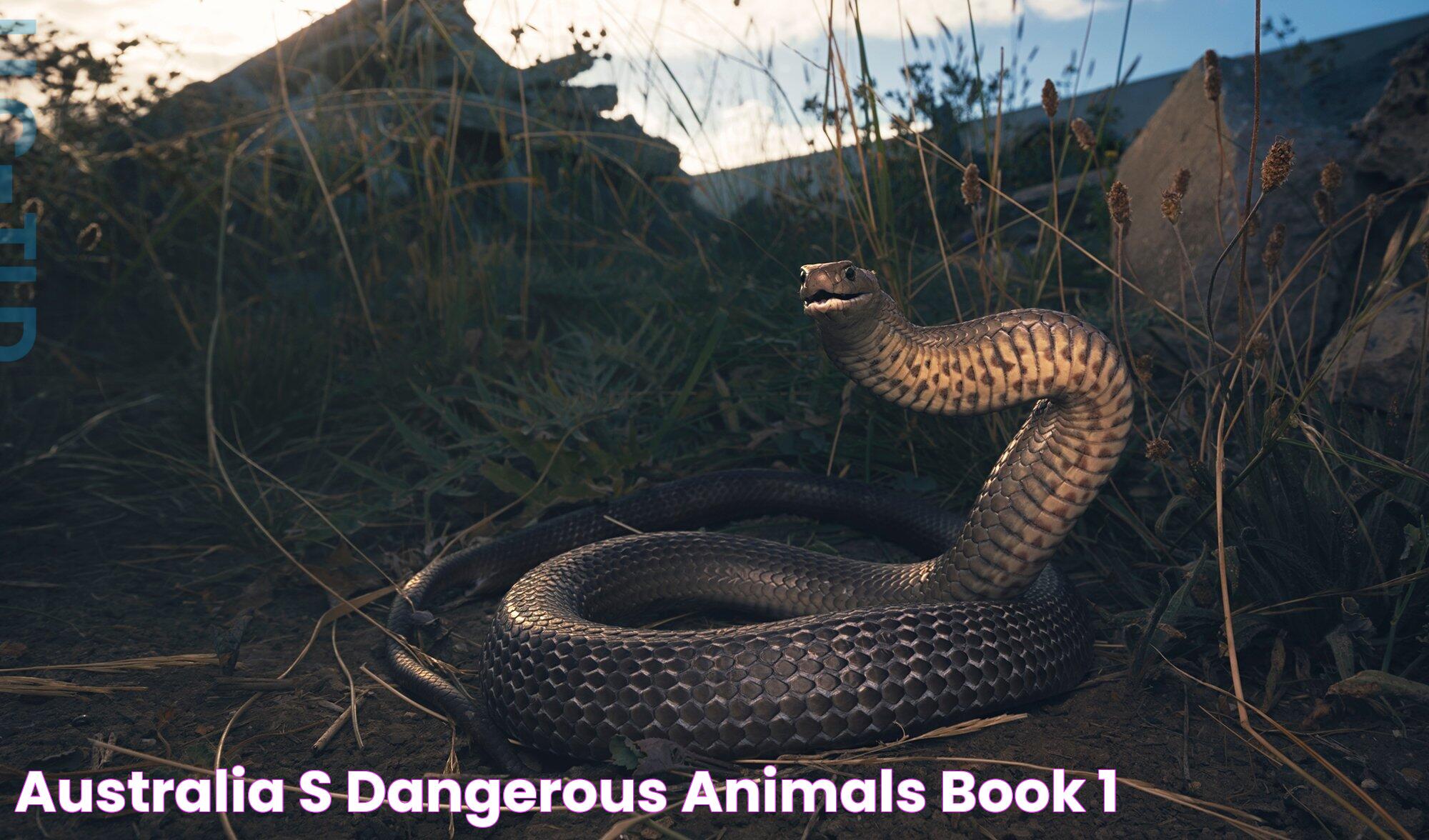 The Ultimate Guide To The World's Most Dangerous Animals: A Deep Dive Into Nature's Fiercest Creatures