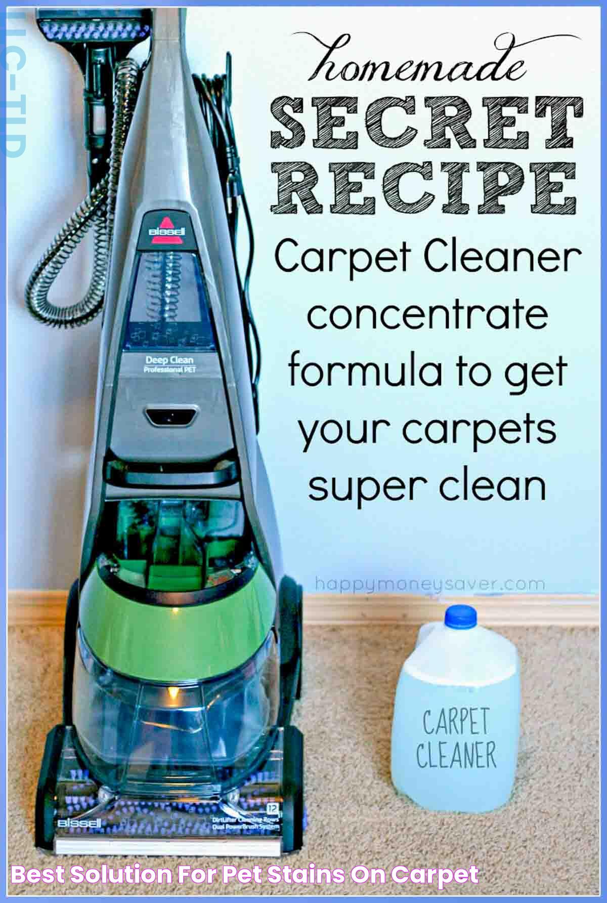 Best Solution For Pet Stains On Carpet