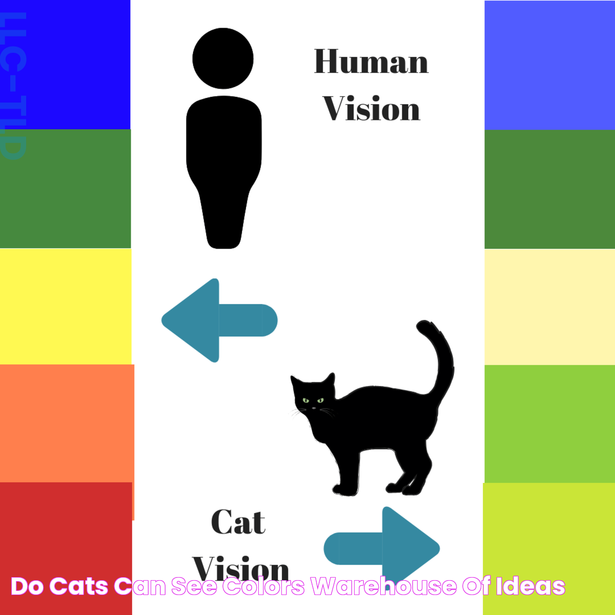 Do Cats Can See Colors Warehouse of Ideas