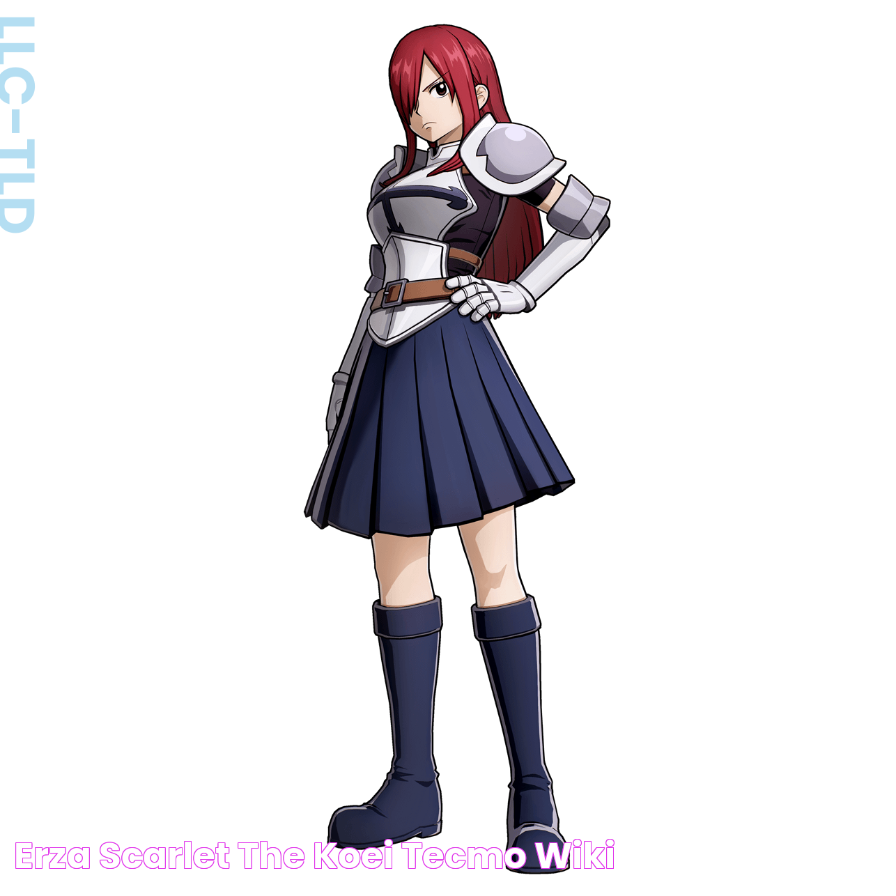 Erza Scarlet The Koei Tecmo Wiki