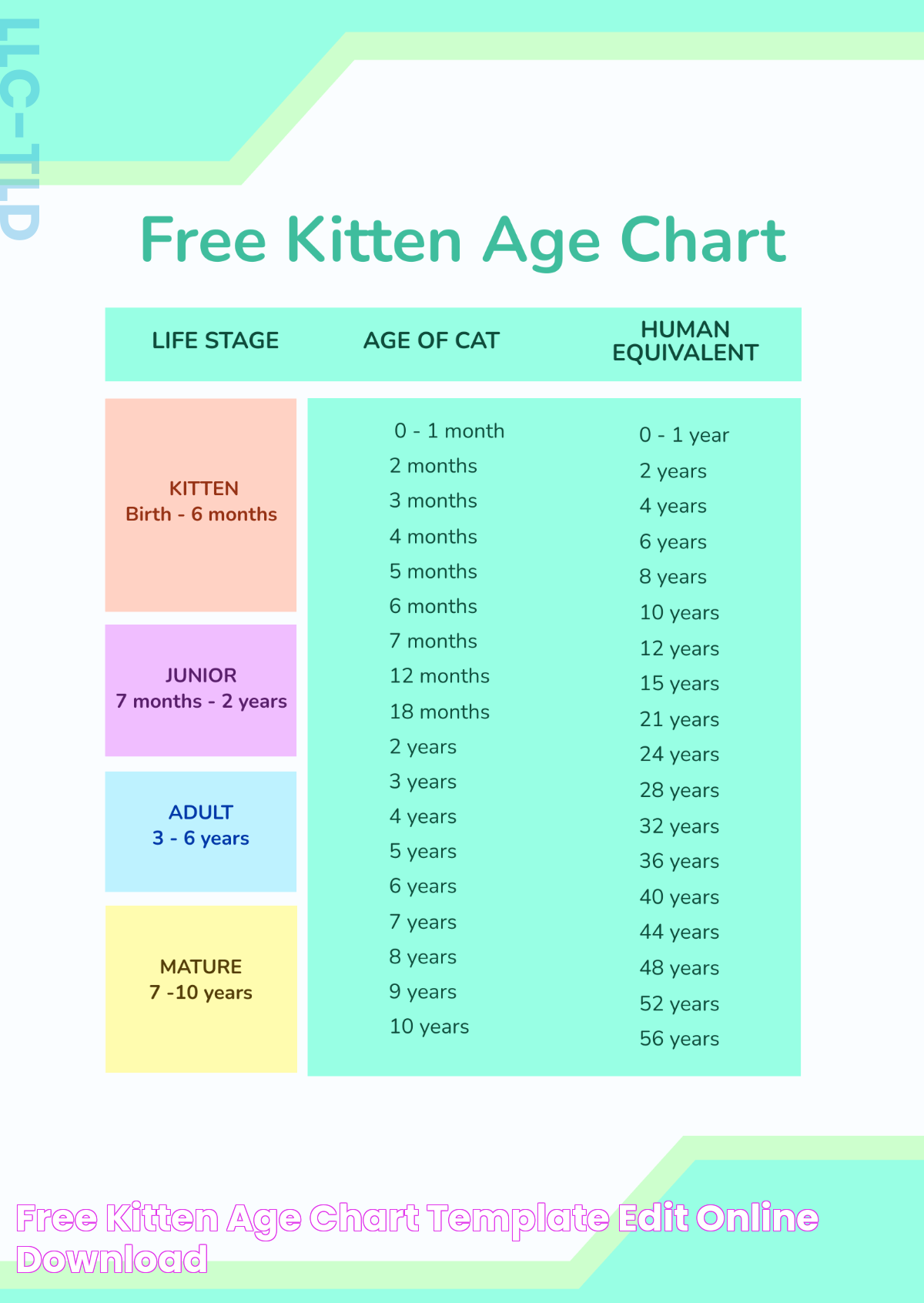 Prepubescence Age: Insights And Understanding