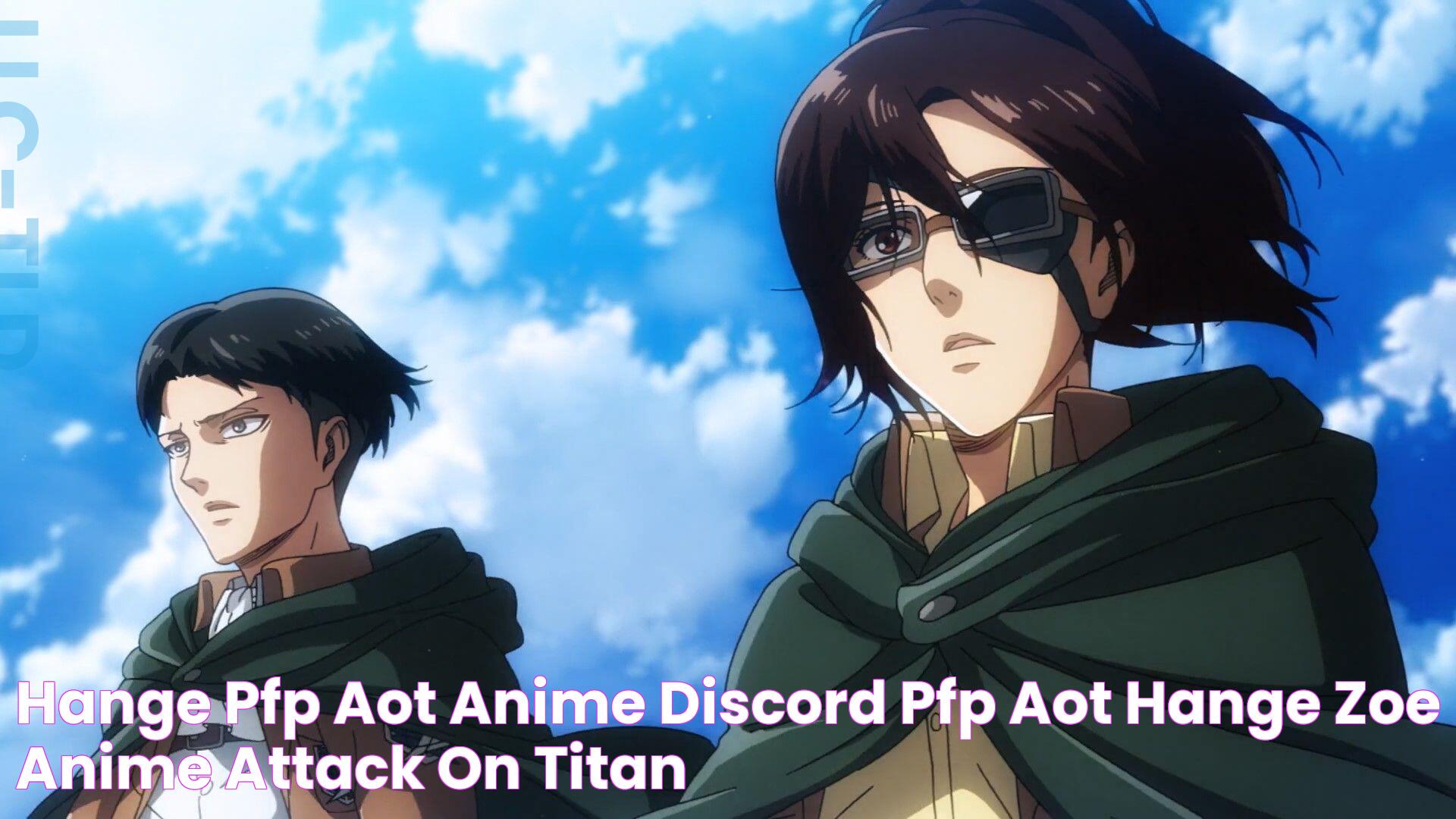 Hange Pfp Aot Anime Discord Pfp Aot / Hange Zoe Anime Attack On Titan