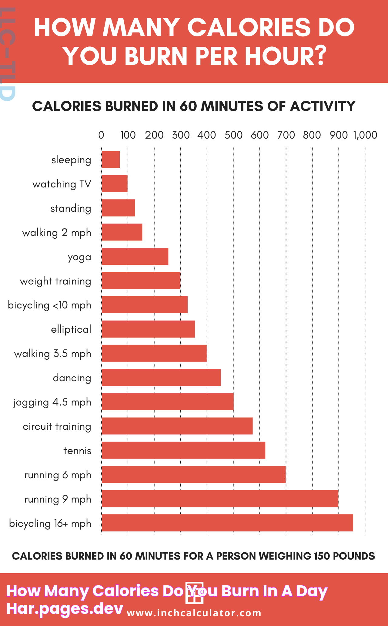 How Many Calories Do You Burn in a Day? // har.pages.dev