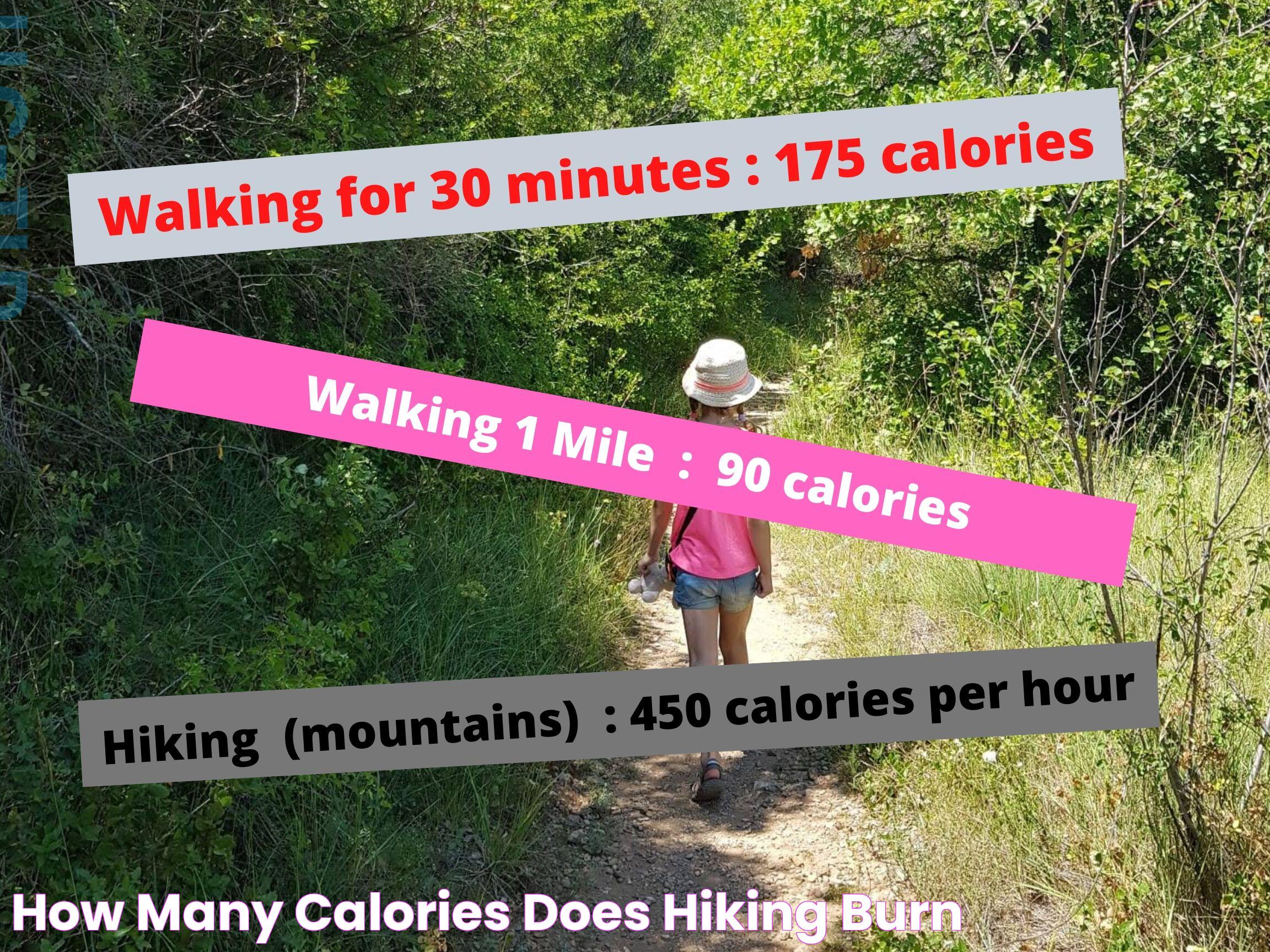 How Many Calories Does Hiking Burn