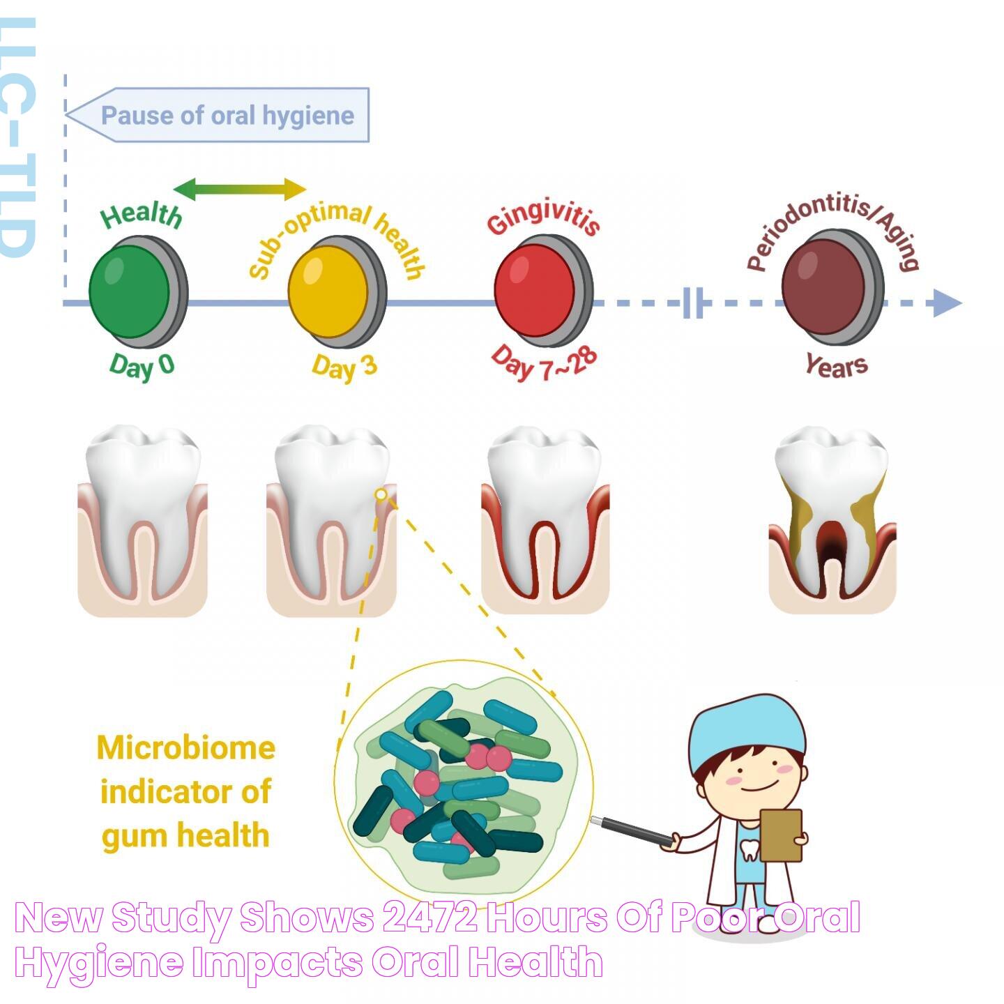 New study shows 2472 hours of poor oral hygiene impacts oral health