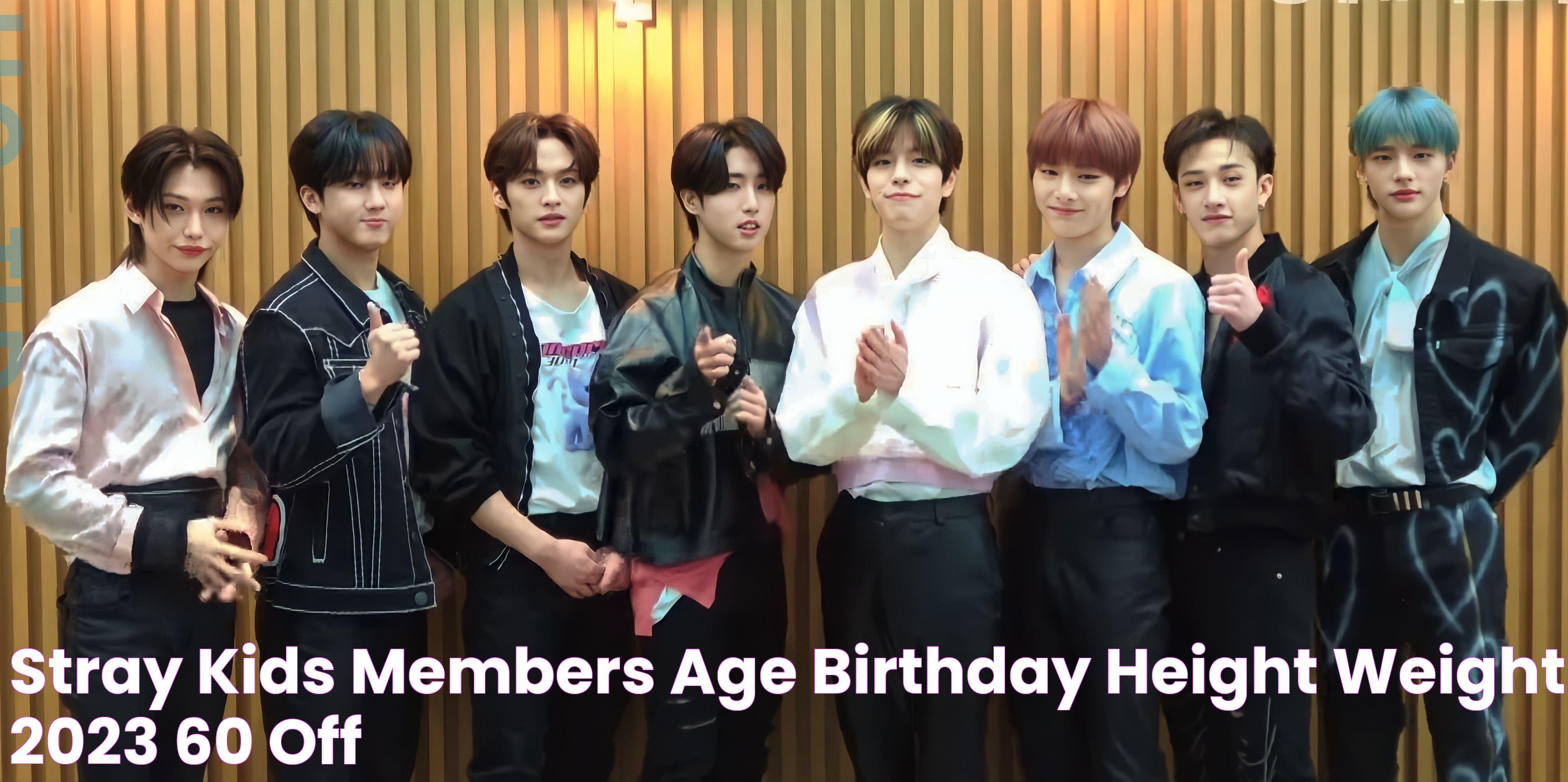 Stray Kids Members Age, Birthday, Height Weight 2023, 60 OFF