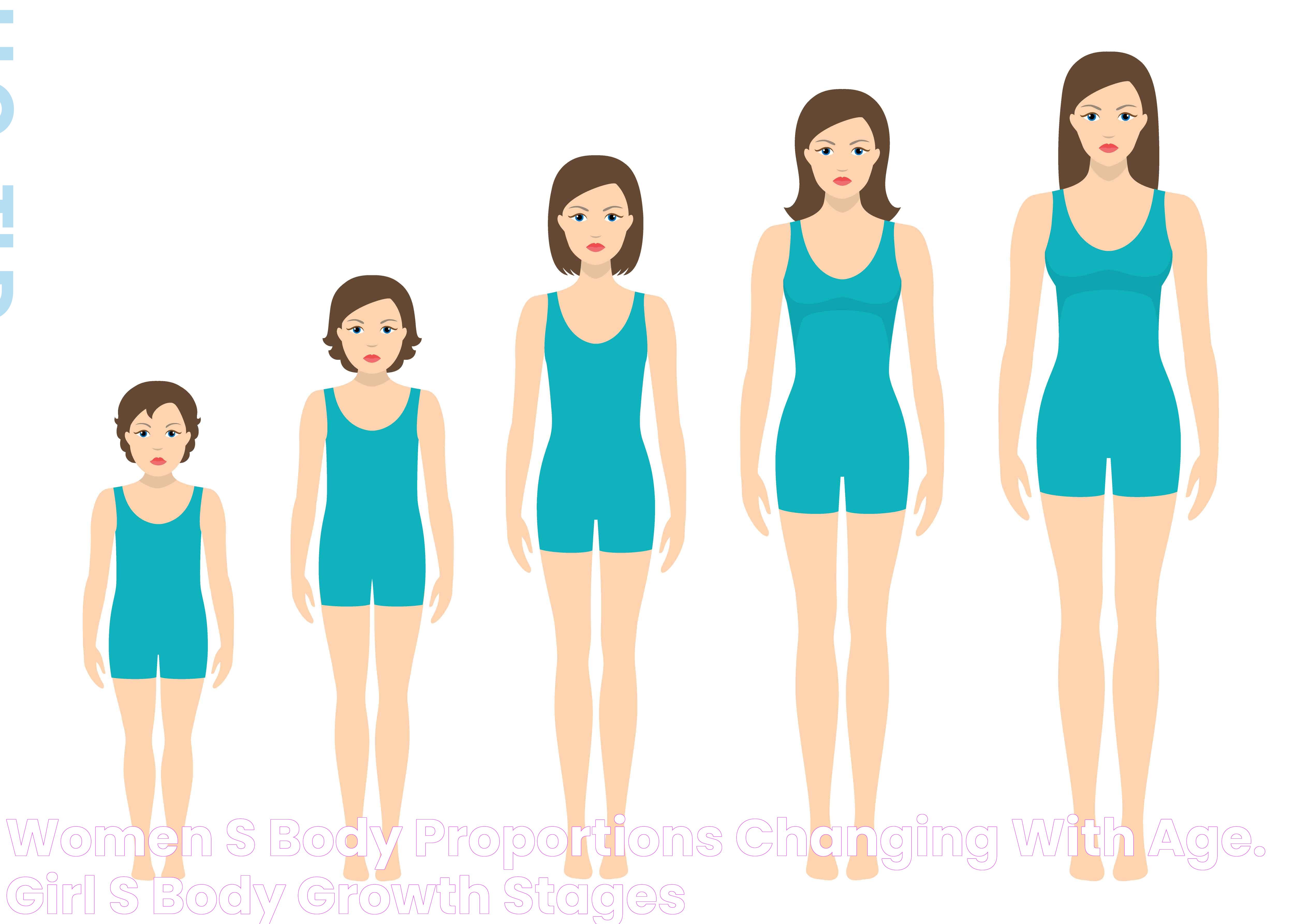 Women's body proportions changing with age. Girl's body growth stages