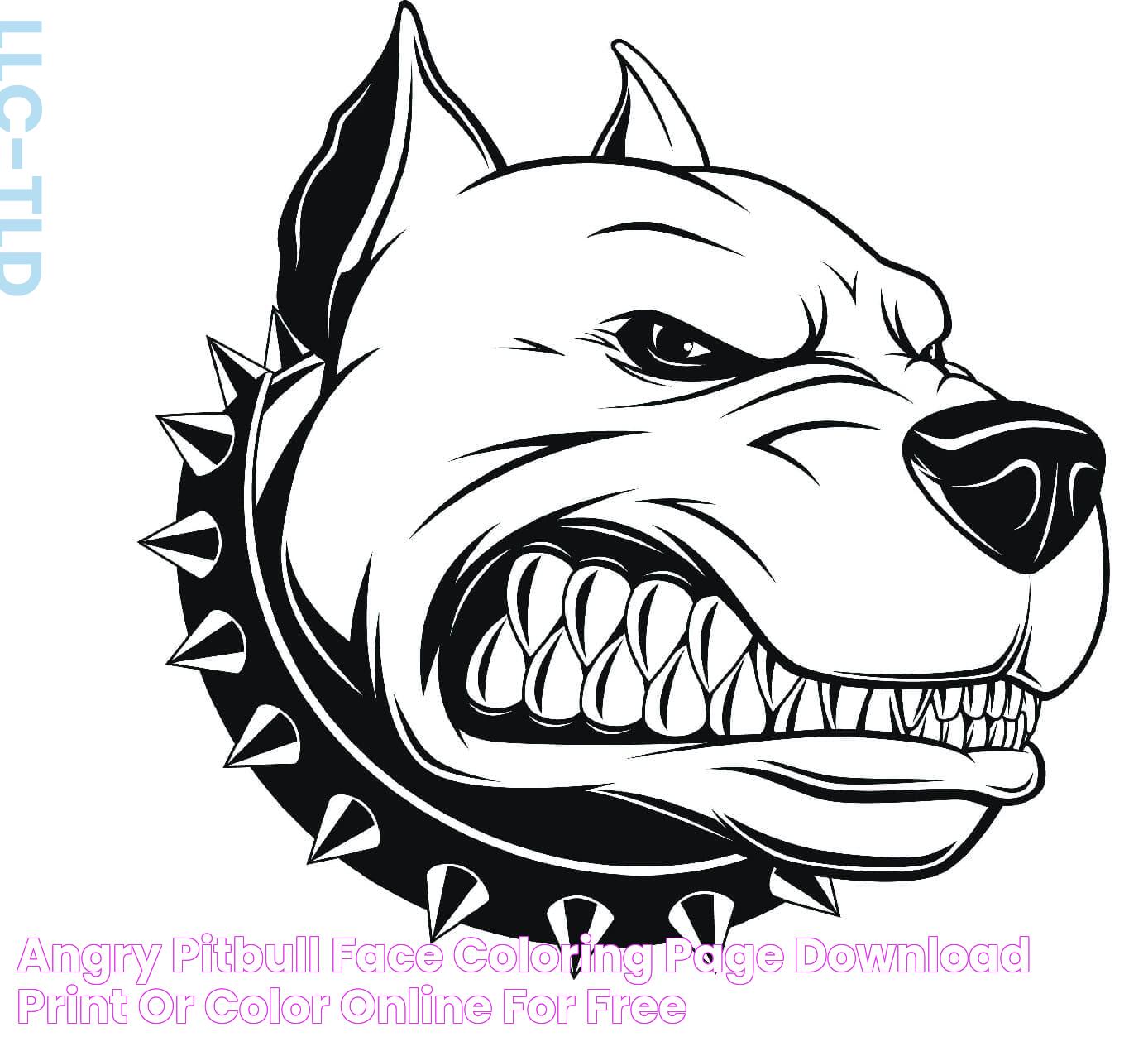 Angry Pitbull Face coloring page Download, Print or Color Online for Free