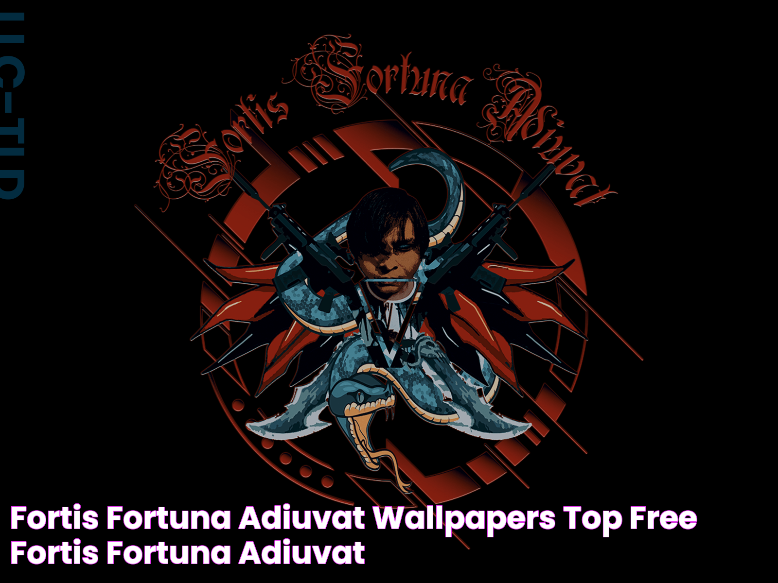 Fortis Fortuna Adiuvat Wallpapers Top Free Fortis Fortuna Adiuvat