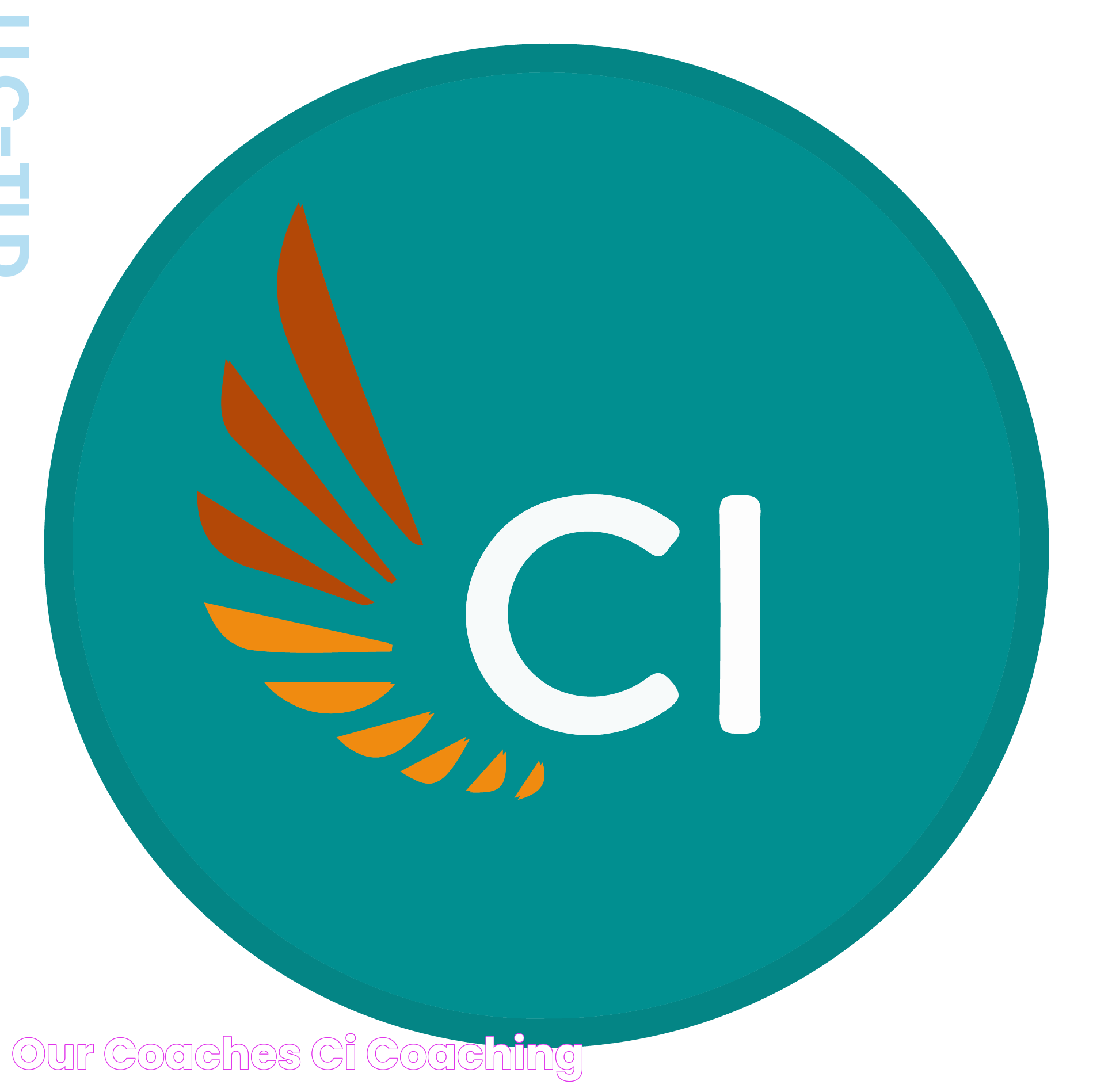 Our Coaches CI Coaching