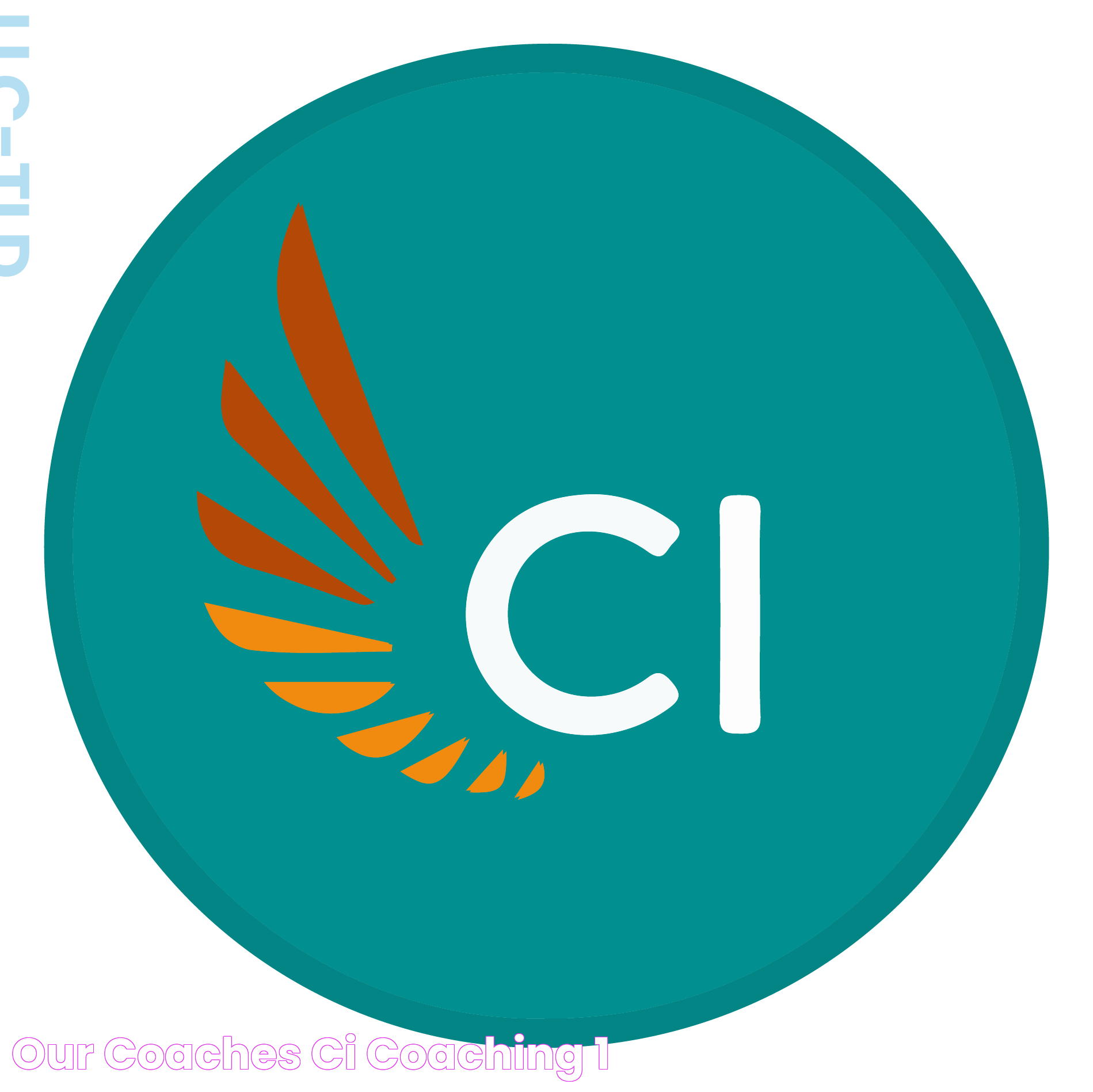 Our Coaches CI Coaching