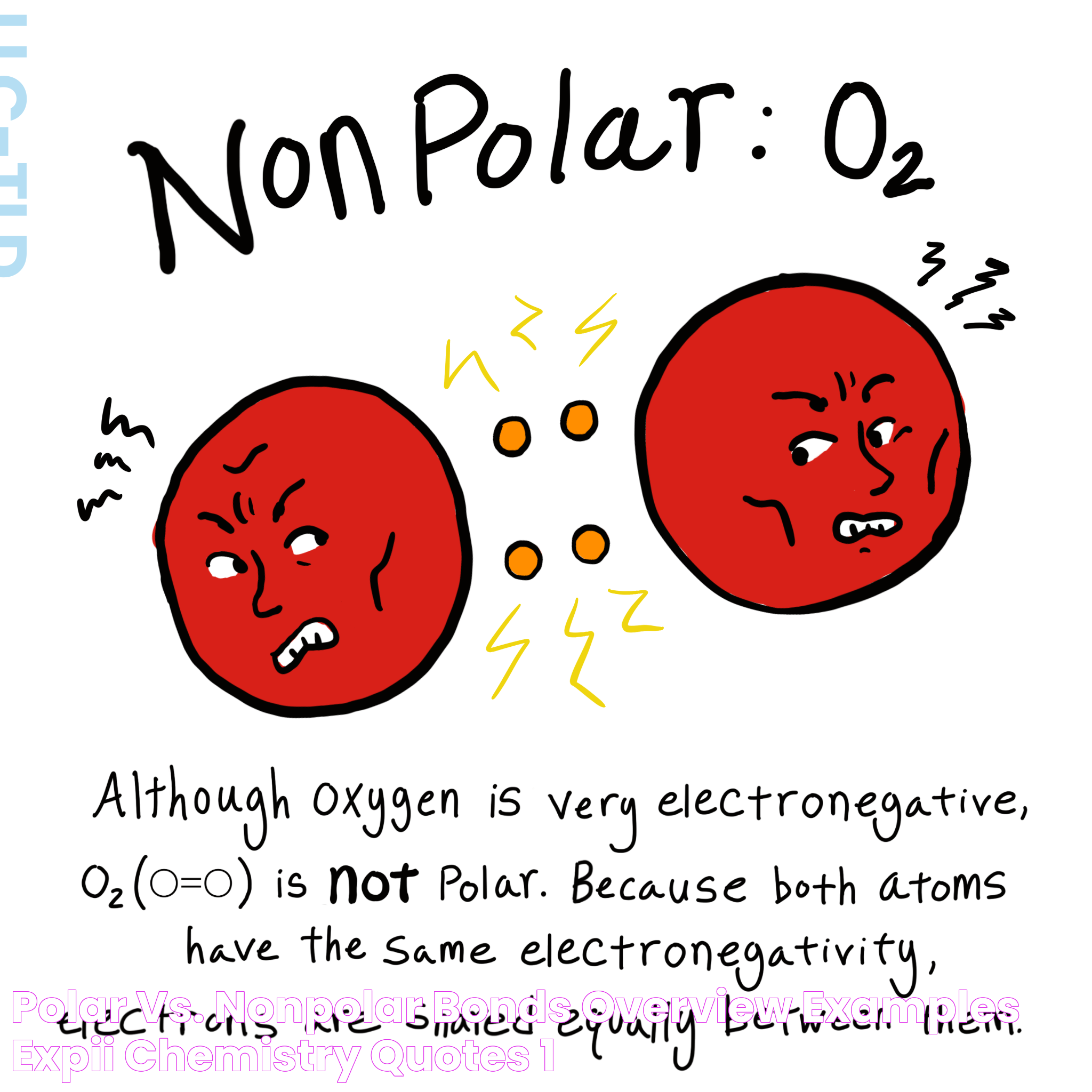 Polar Vs Non Polar: A Comprehensive Guide To Understanding Their Differences