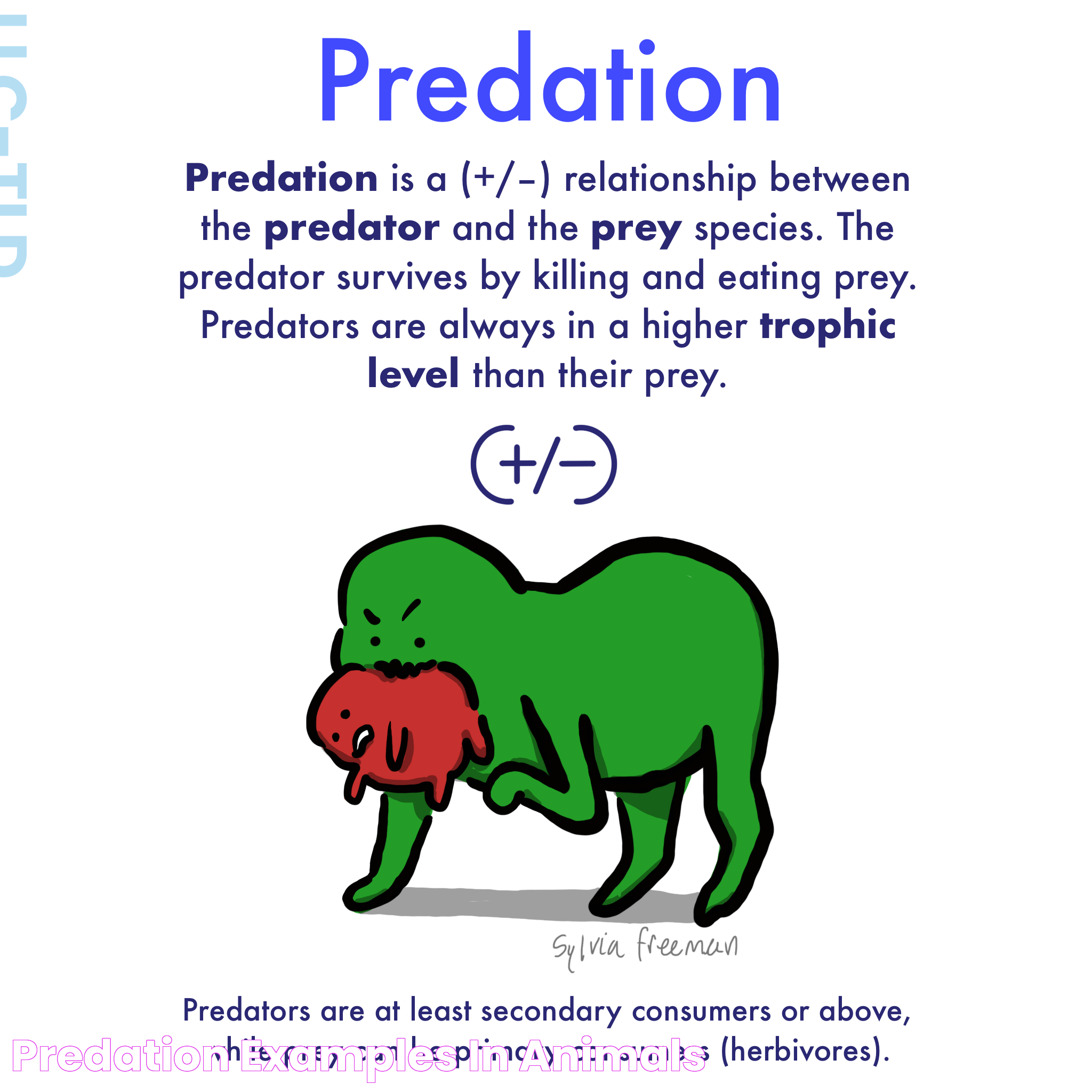 Remarkable Examples Of Predation: The Circle Of Life In Action